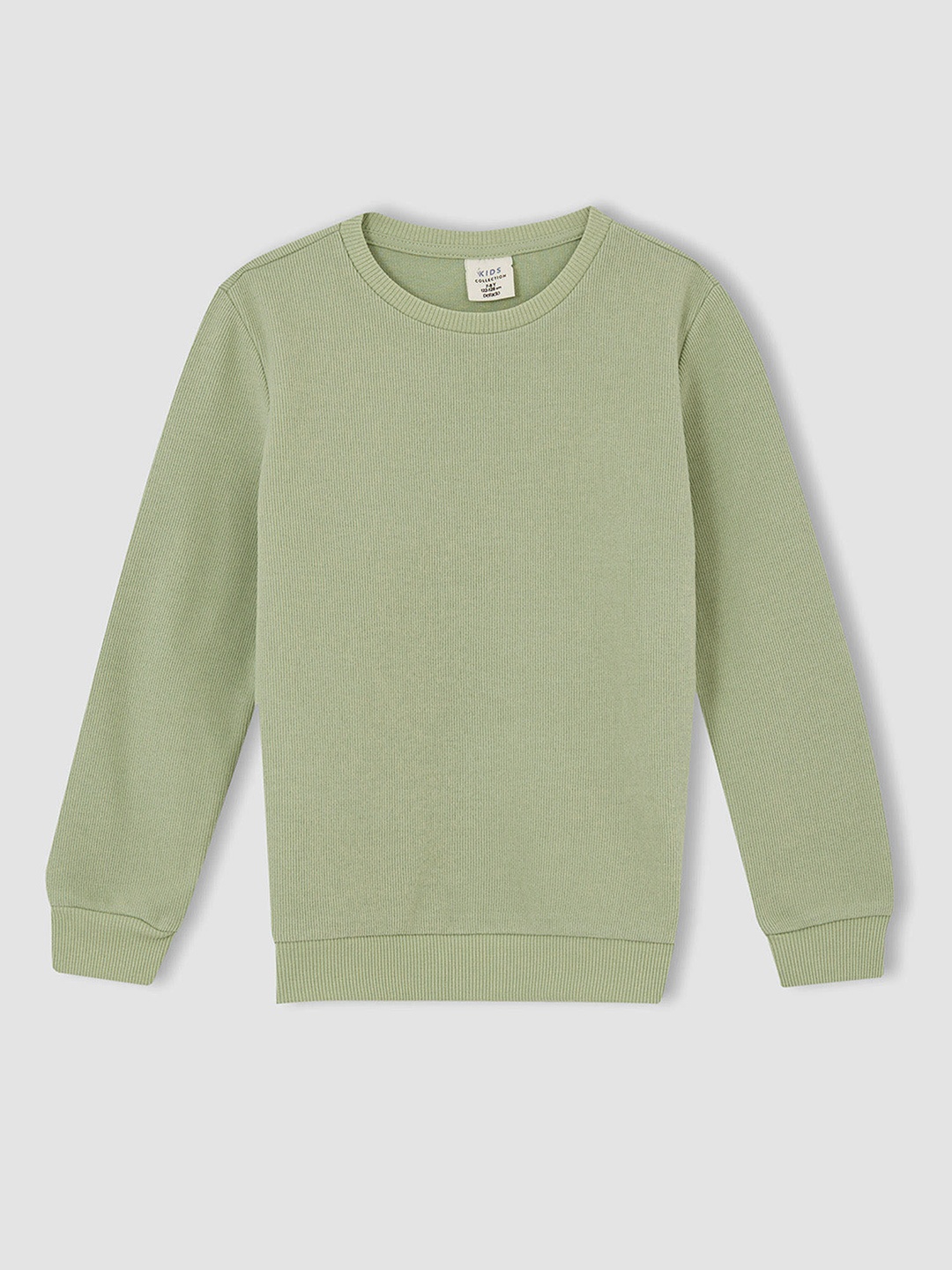 

DeFacto Boys Green Solid Sweatshirt