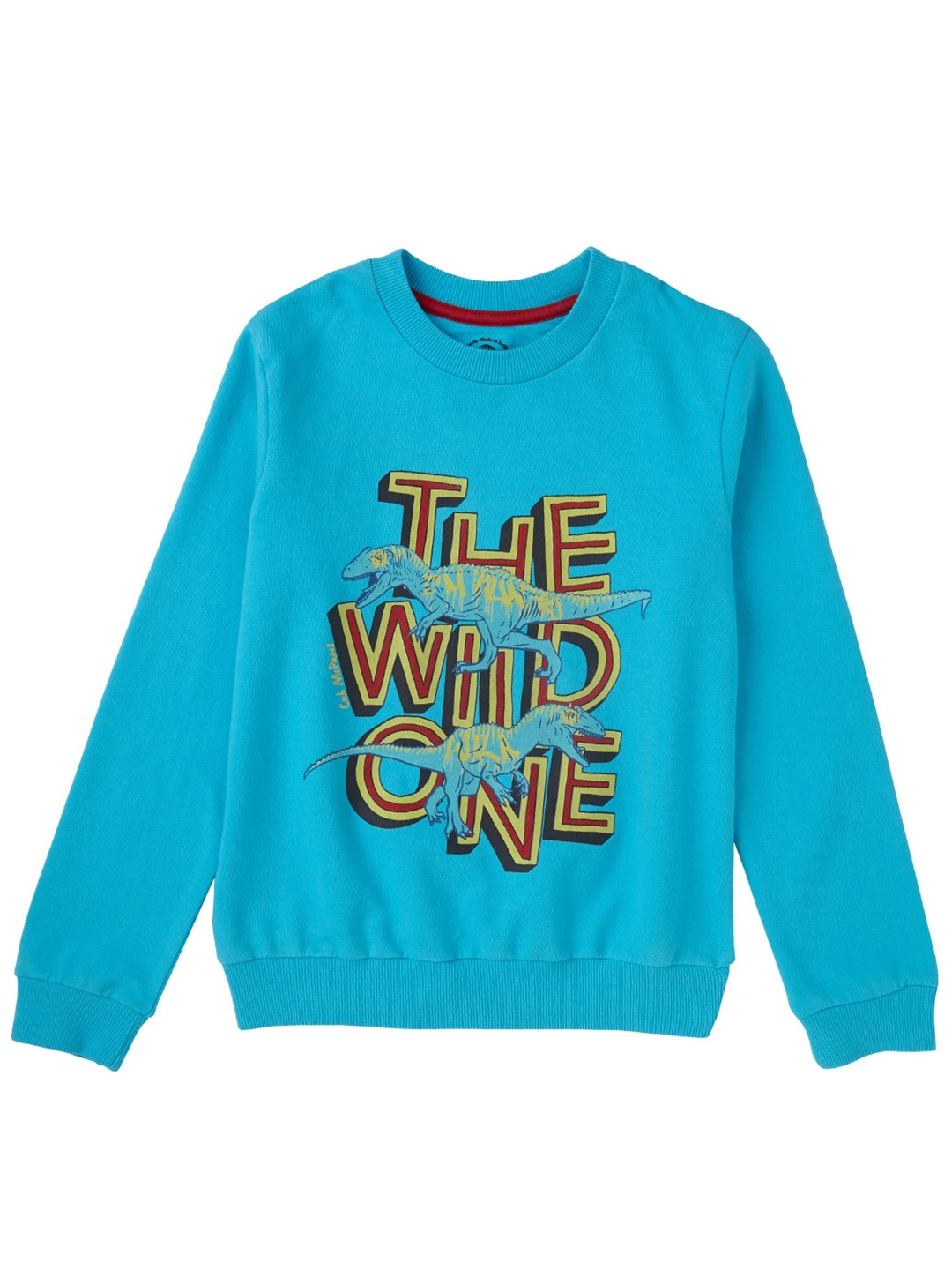 

Cub McPaws Boys Blue Printed Sweatshirt
