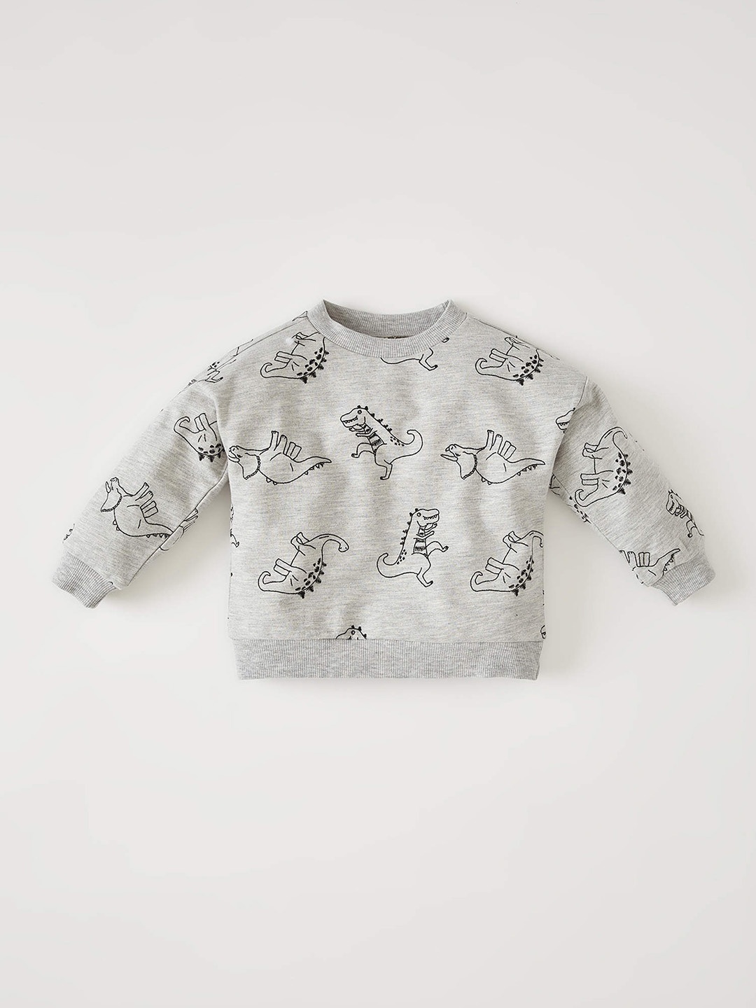 

DeFacto Boys Grey Melange Dinosaur Print Sweatshirt