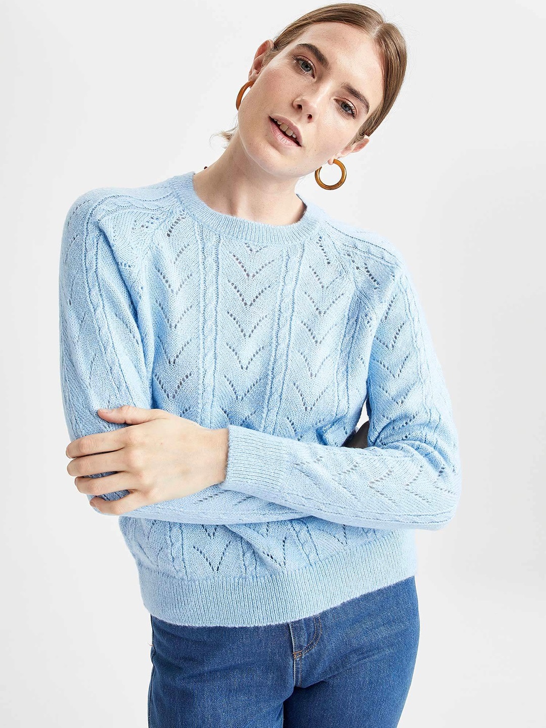 

DeFacto Women Blue Open Knit Self-Design Pullover