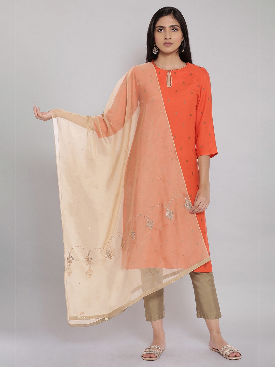 

W Gold-Toned & Silver-Toned Embroidered Organza Dupatta