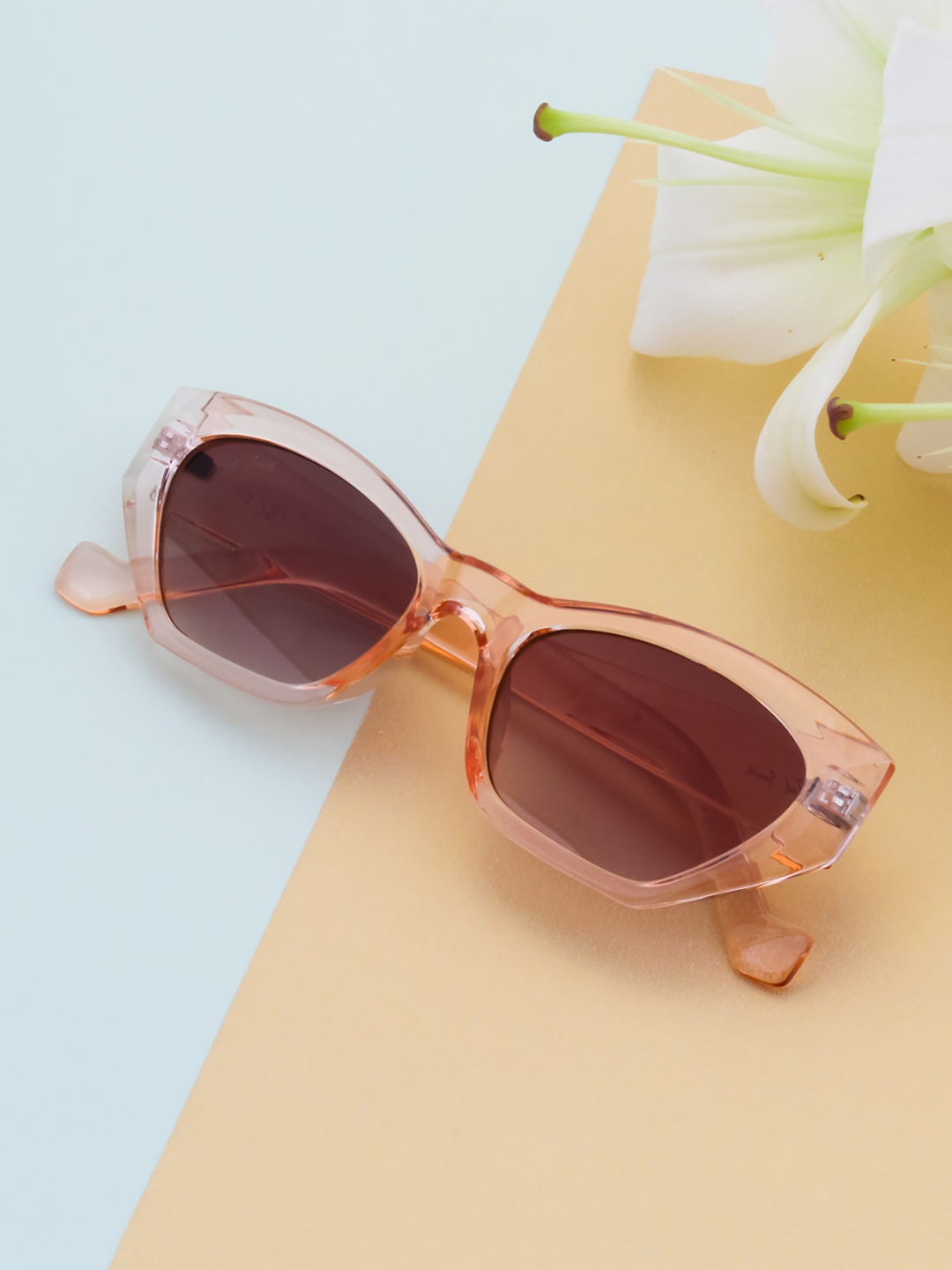 

Ted Smith Women Brown Lens & Brown Cateye Sunglasses with UV Protected Lens