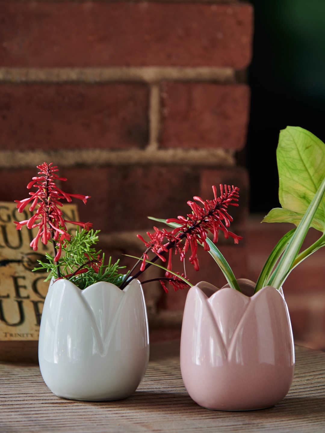 

Chumbak Set Of 2 Grey & Pink Lotus Leaf Planters