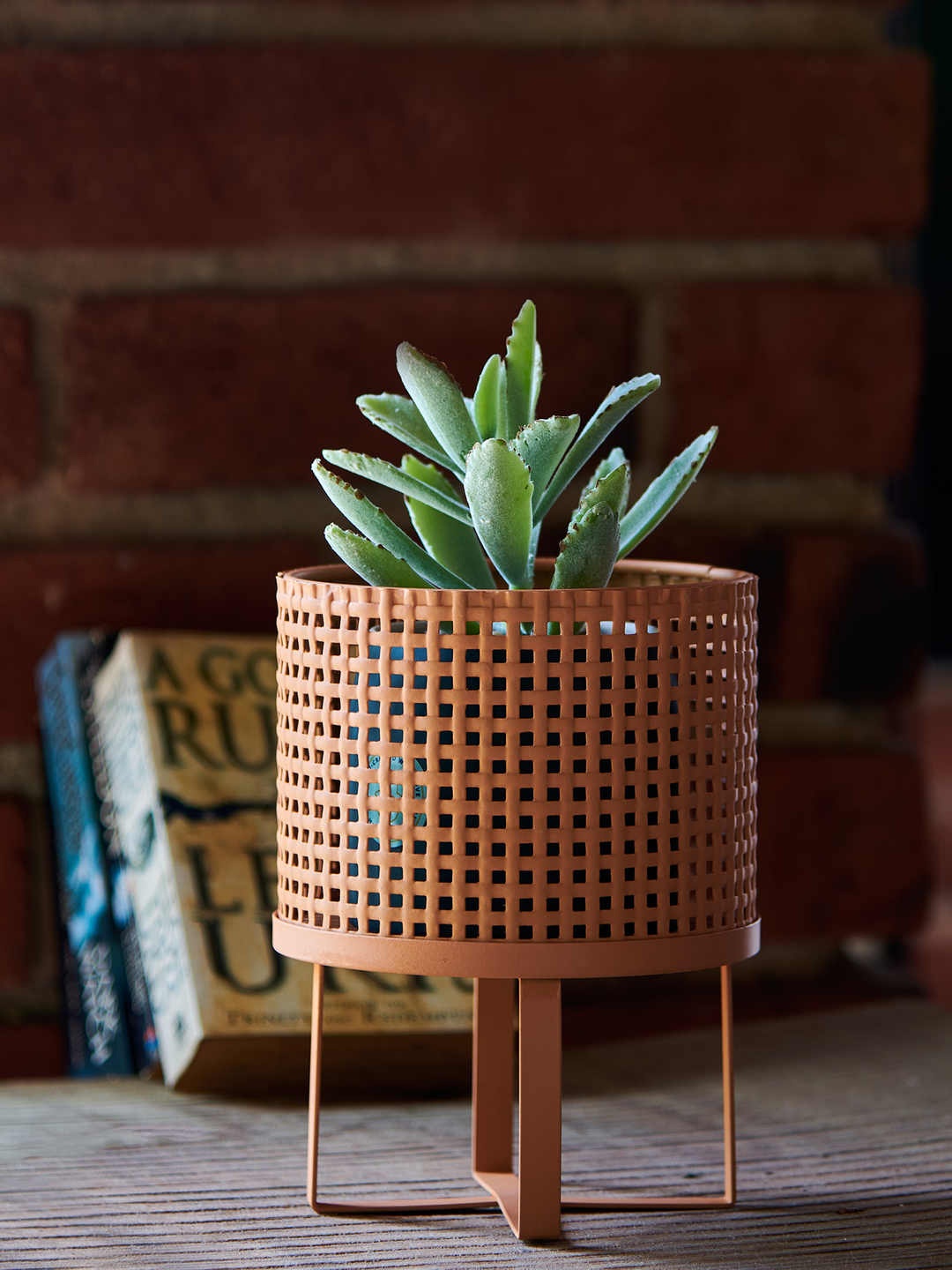 

Chumbak Brown Plant Lady Metal Planter