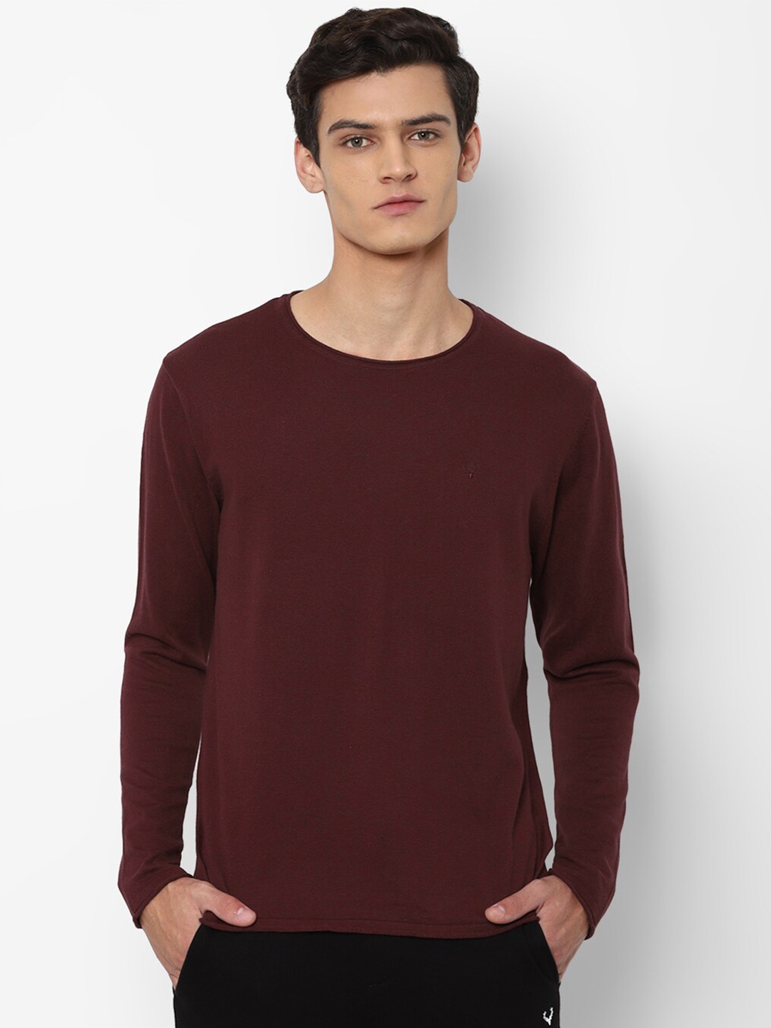

Allen Solly Men Maroon Pullover