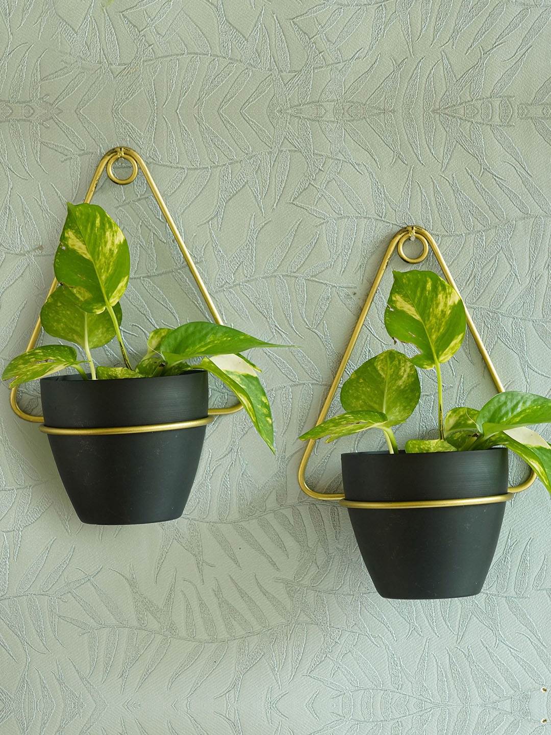 

TIED RIBBONS Set Of 2 Hanging Wall Mounted Metal Planter With Pot, Black