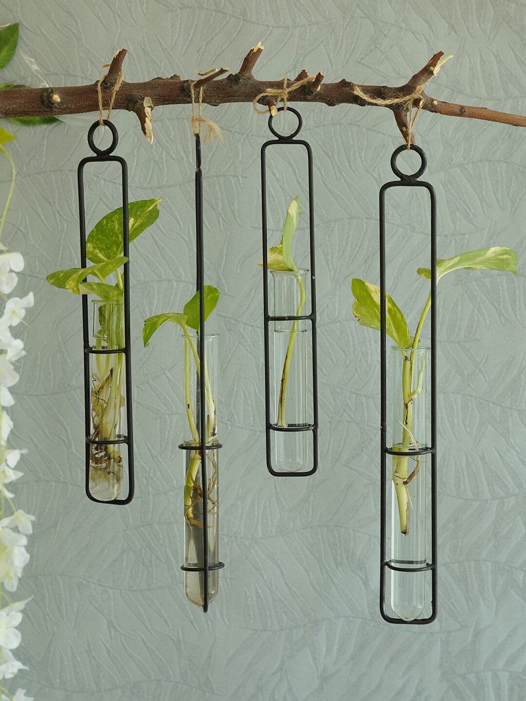 

TIED RIBBONS Set Of 4 Transparent & Black Test Tube Planters