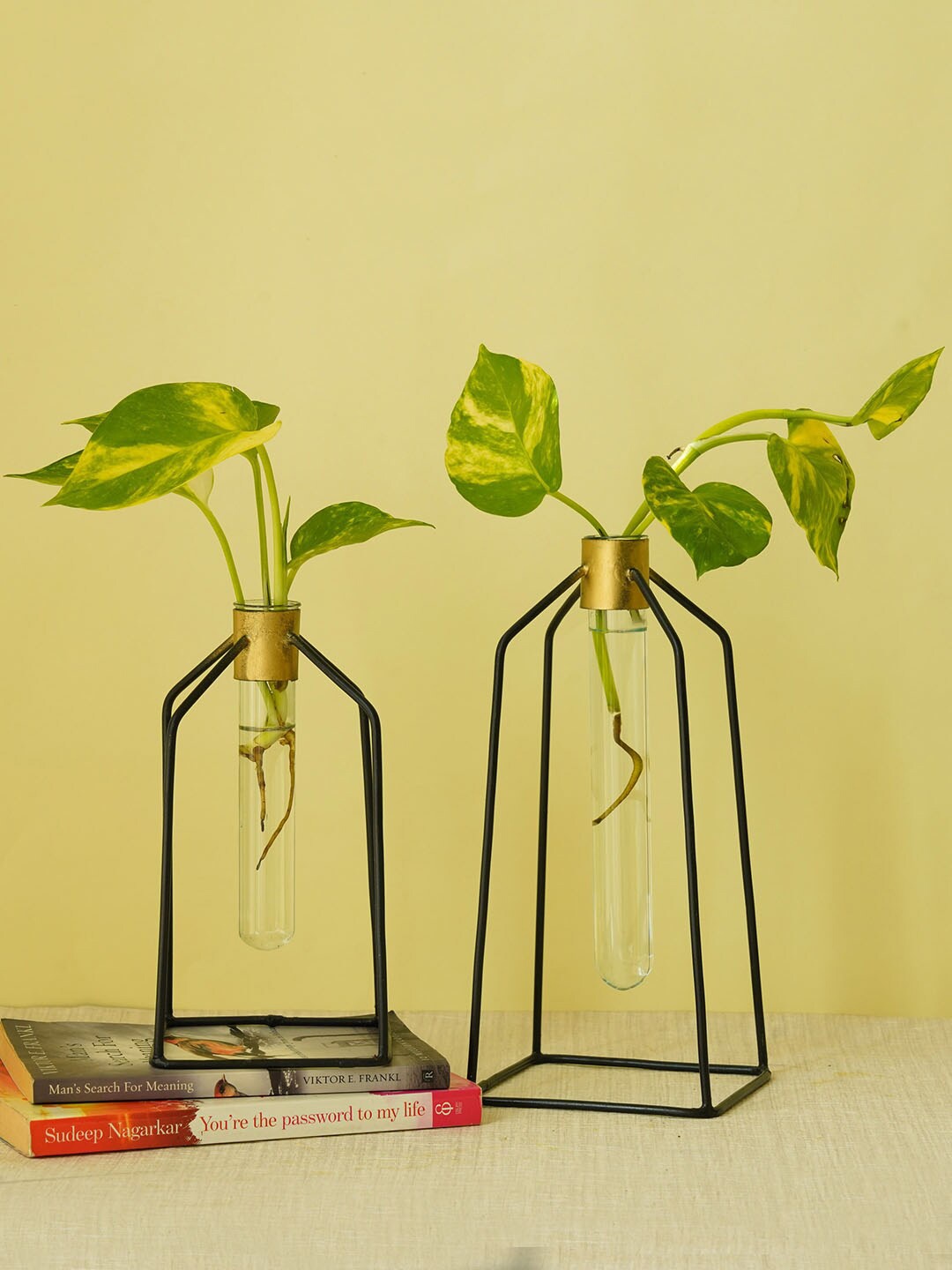 

TIED RIBBONS Set Of 2 Transparent & Gold-Toned Handcrafted Test Tube Planters