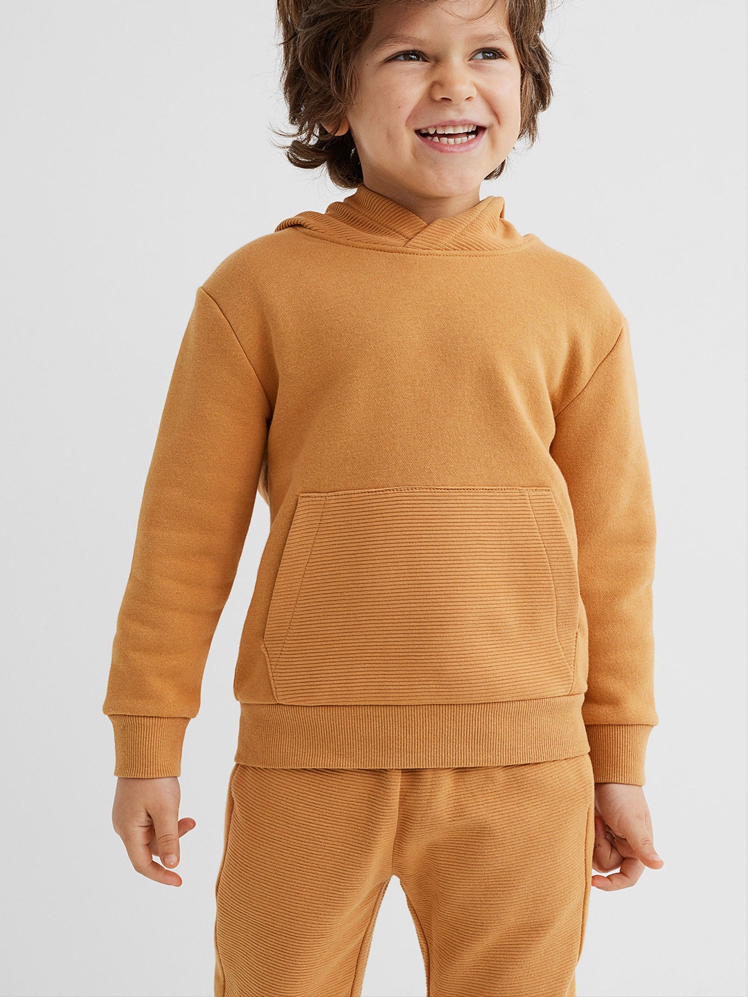 

H&M Boys Beige Solid Hooded Top