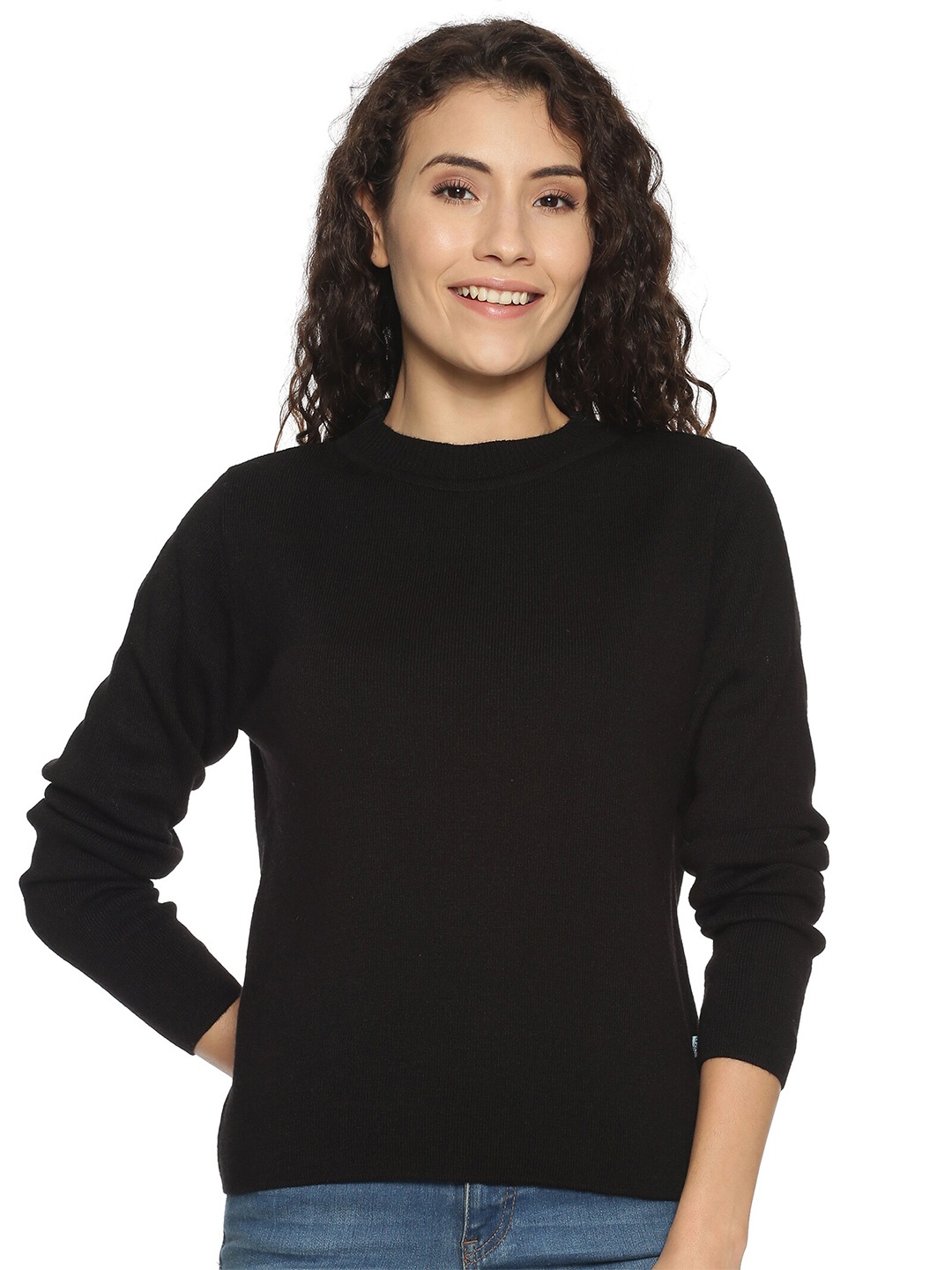 

BEVERLY BLUES Women Black Solid Round Neck Sweater