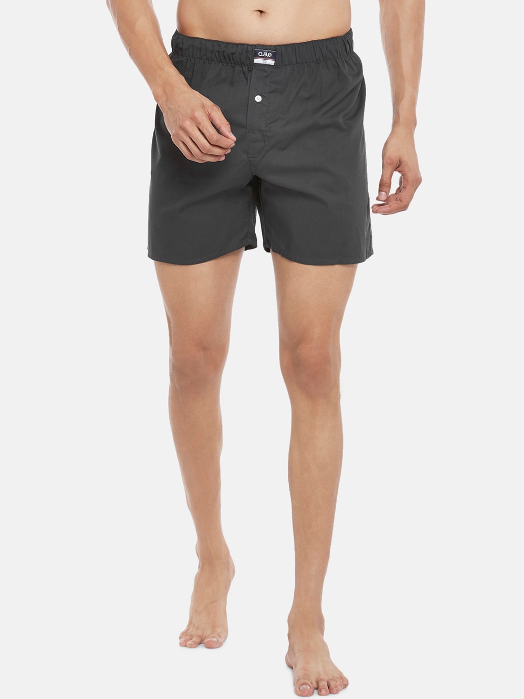 

Ajile by Pantaloons Men Grey Solid Boxers 8905500119554
