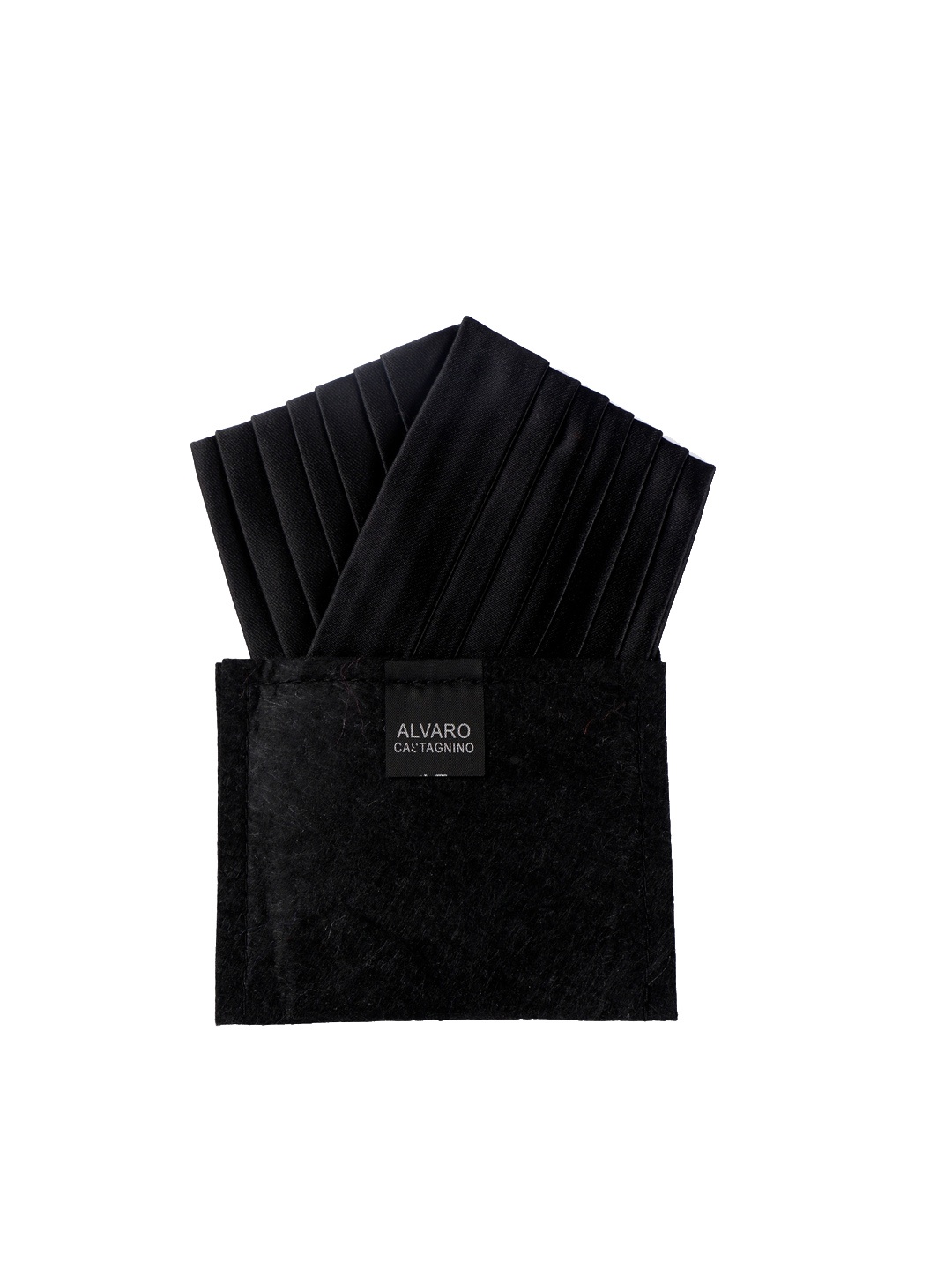 

Alvaro Castagnino Men Black Solid Pocket Square