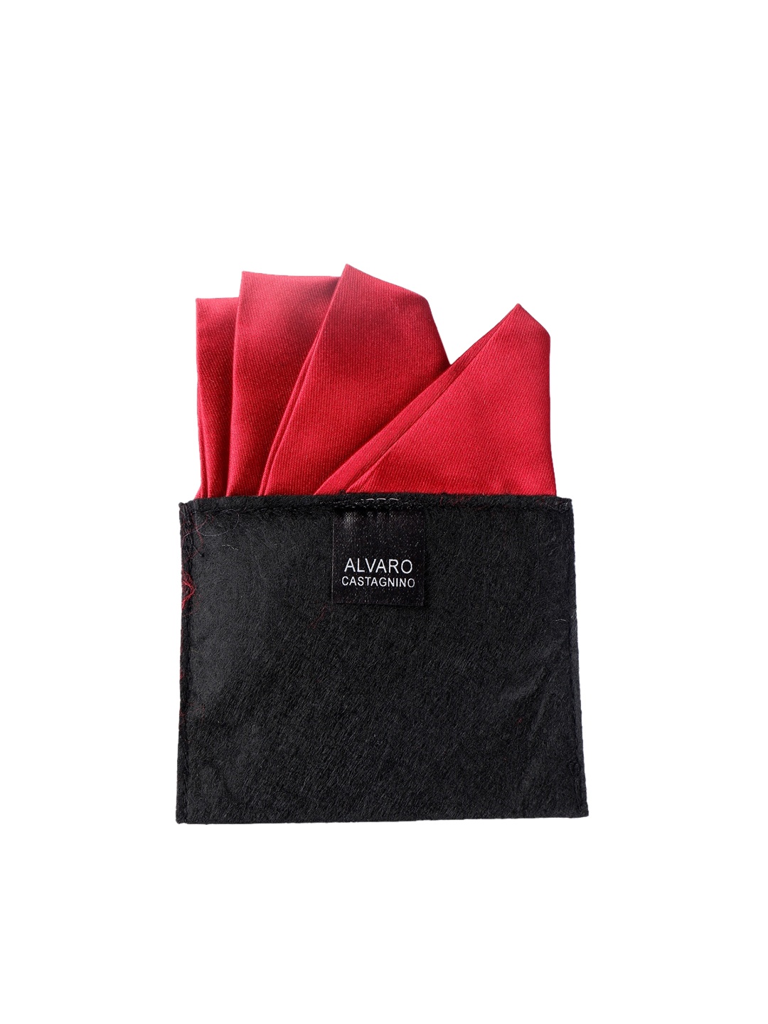 

Alvaro Castagnino Men Maroon Solid Pocket Square