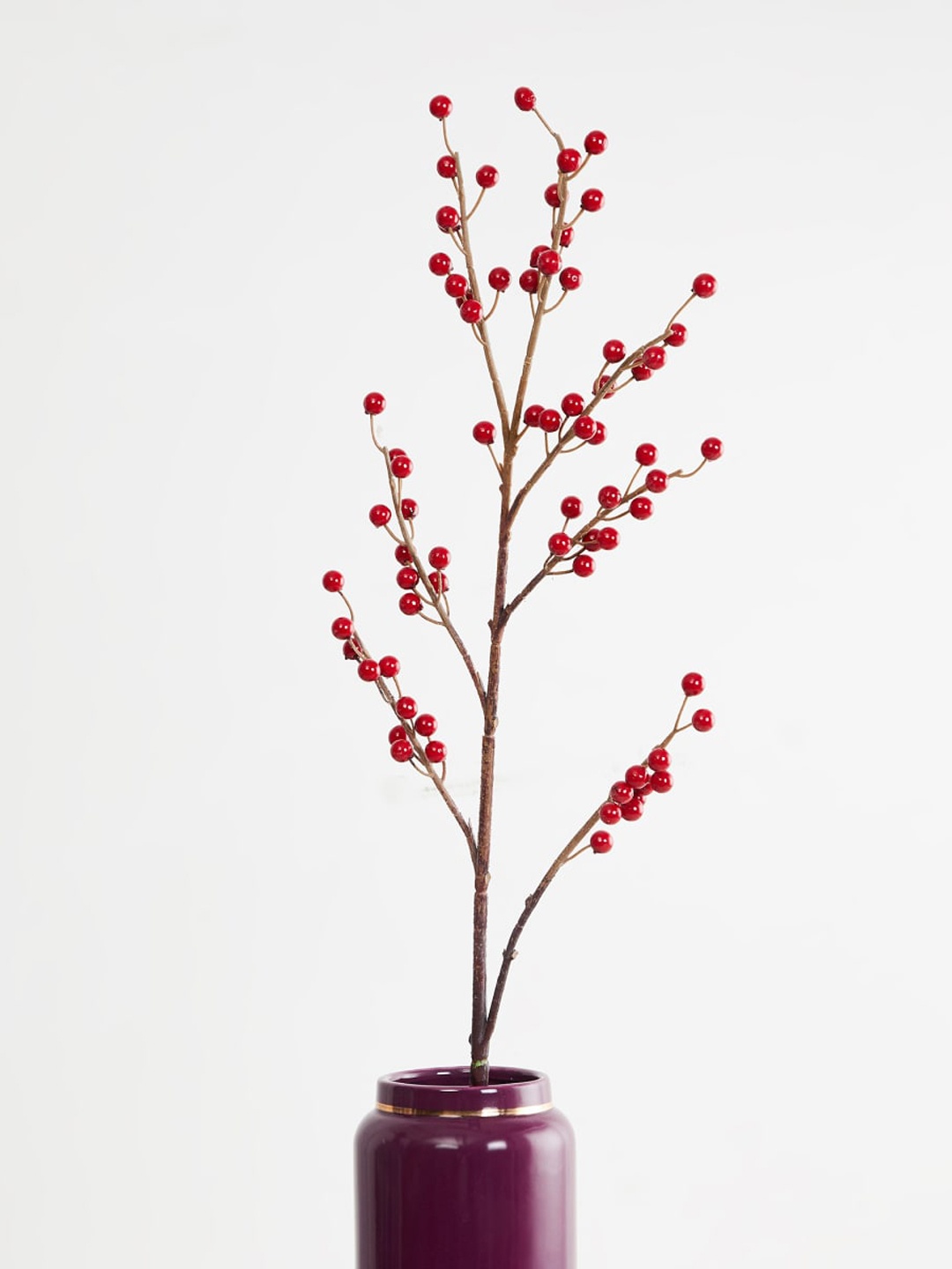 

Home Centre Red Artificial Berry Branch
