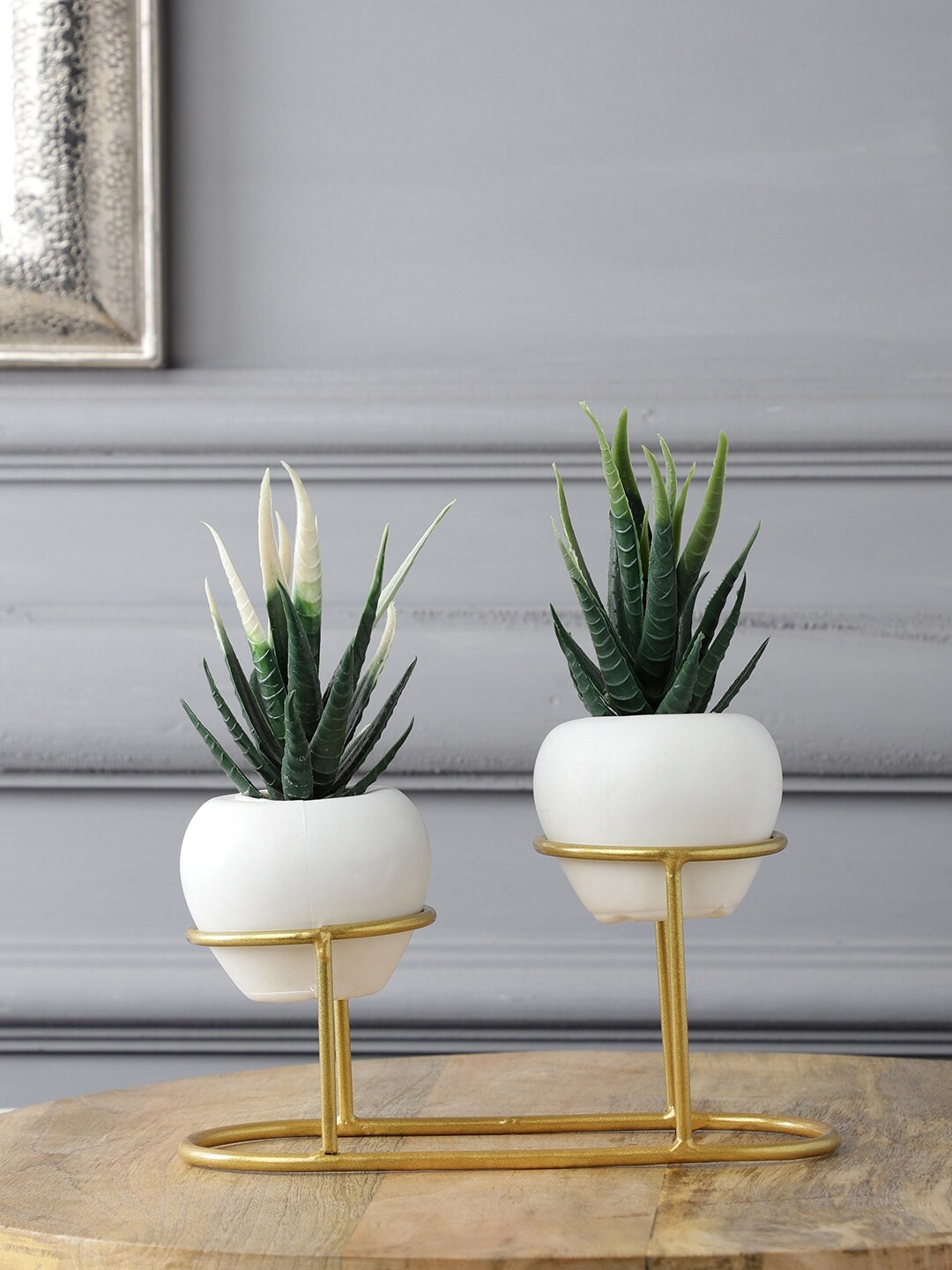 

FOLIYAJ Set Of 2 Green & White Artificial Cactus Plants with Metal Holder Code