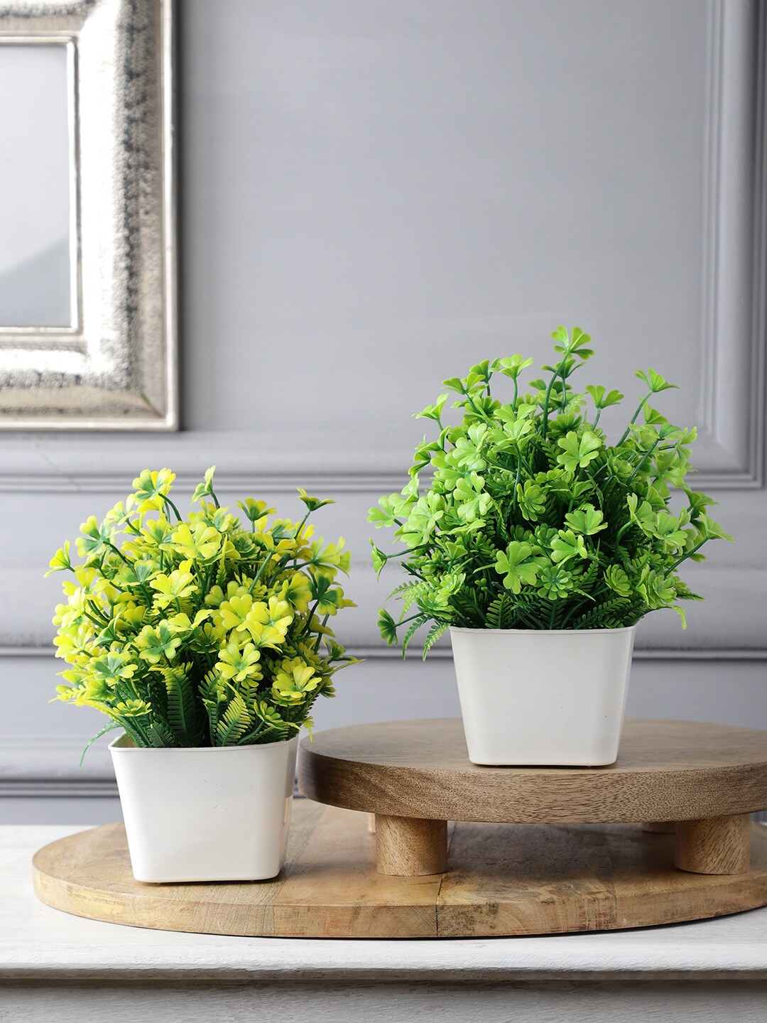 

FOLIYAJ Pack of 2 Green & Yellow Artificial Flower and Plant with Pot