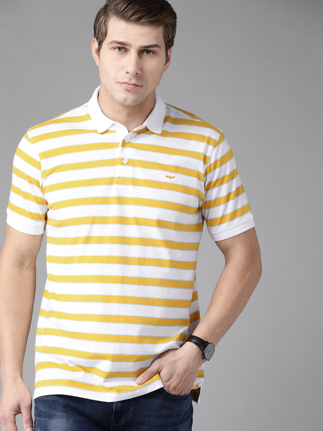 

Park Avenue Men Yellow & White Striped Polo Collar Slim Fit T-shirt