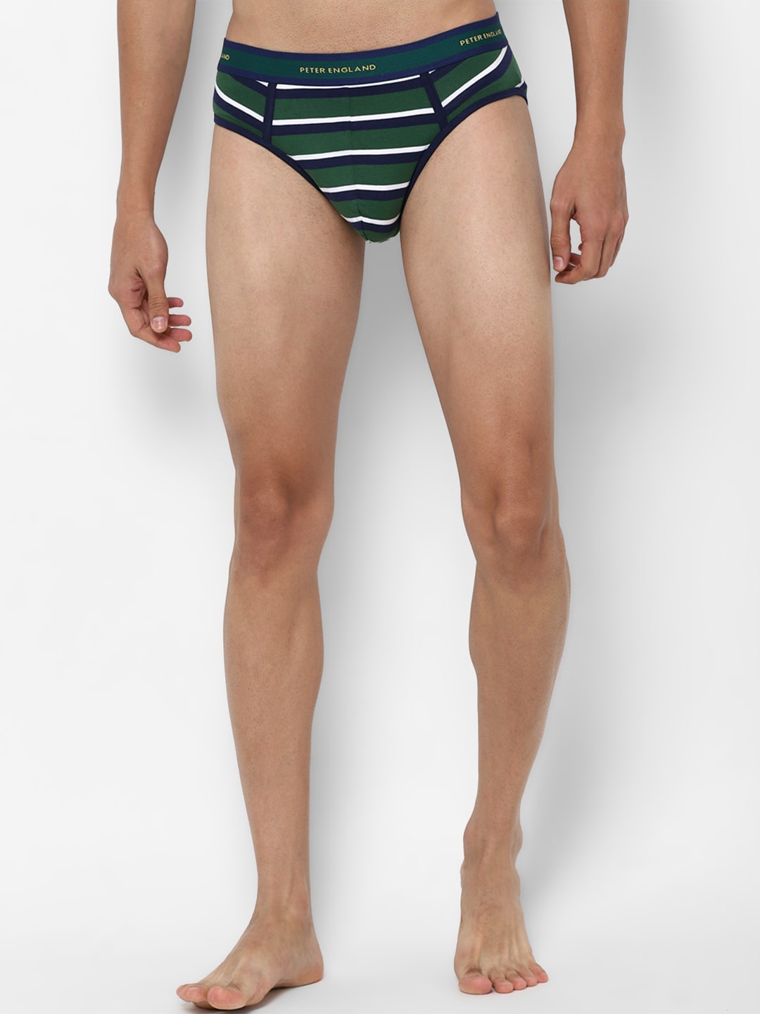 

Peter England Men Green & Blue Striped Basic Briefs PIWBEDNY9146060