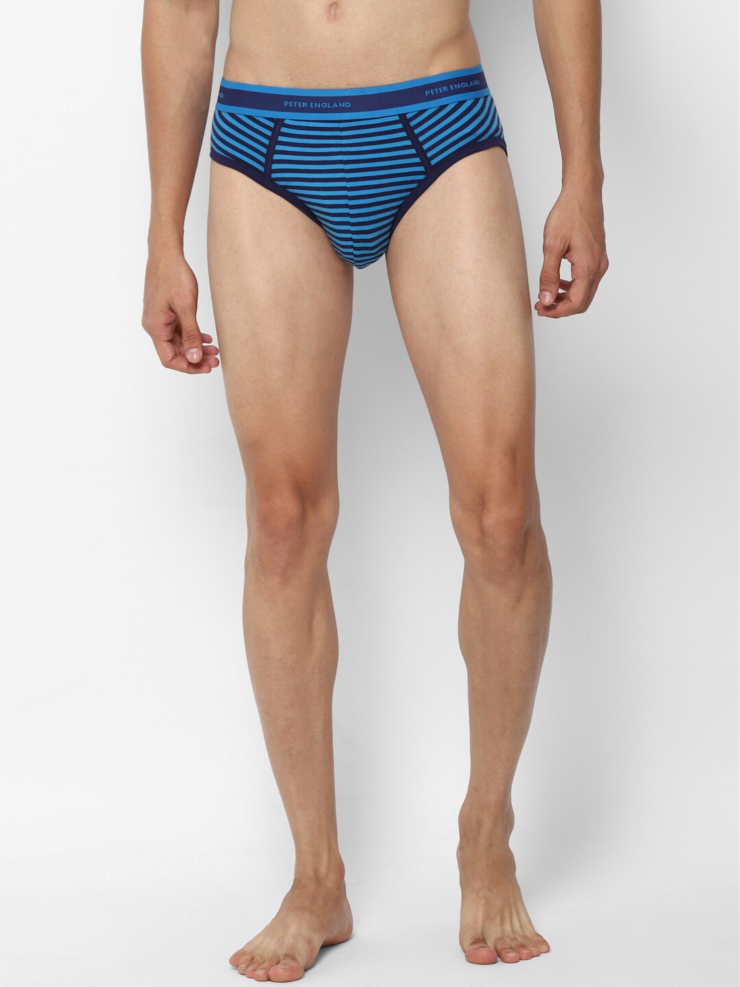 

Peter England Men Blue Striped Basic Briefs