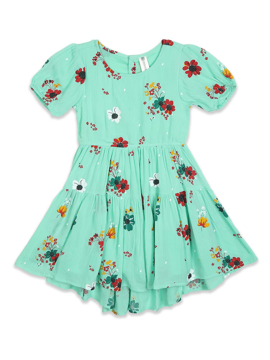 

Cherokee Girls Sea Green & Red Floral Dress