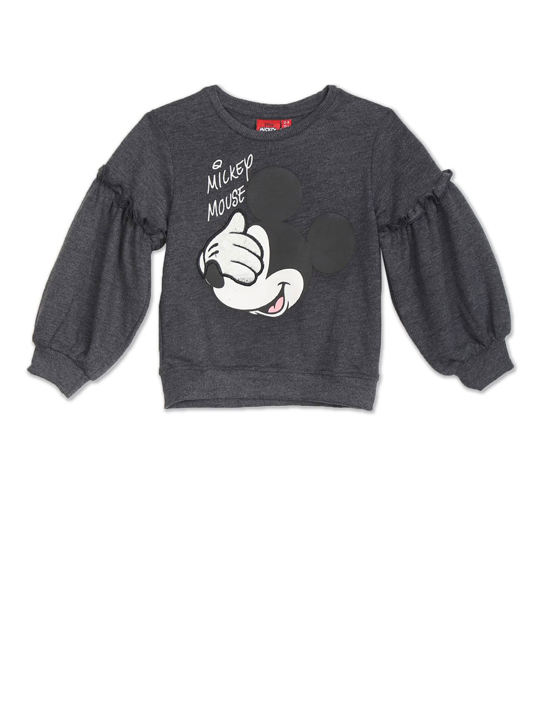 

Colt Girls Grey Printed Sweatshirt