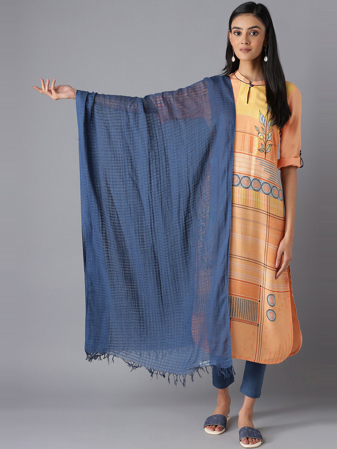 

AURELIA Women Blue Woven Design Pure Cotton Dupatta