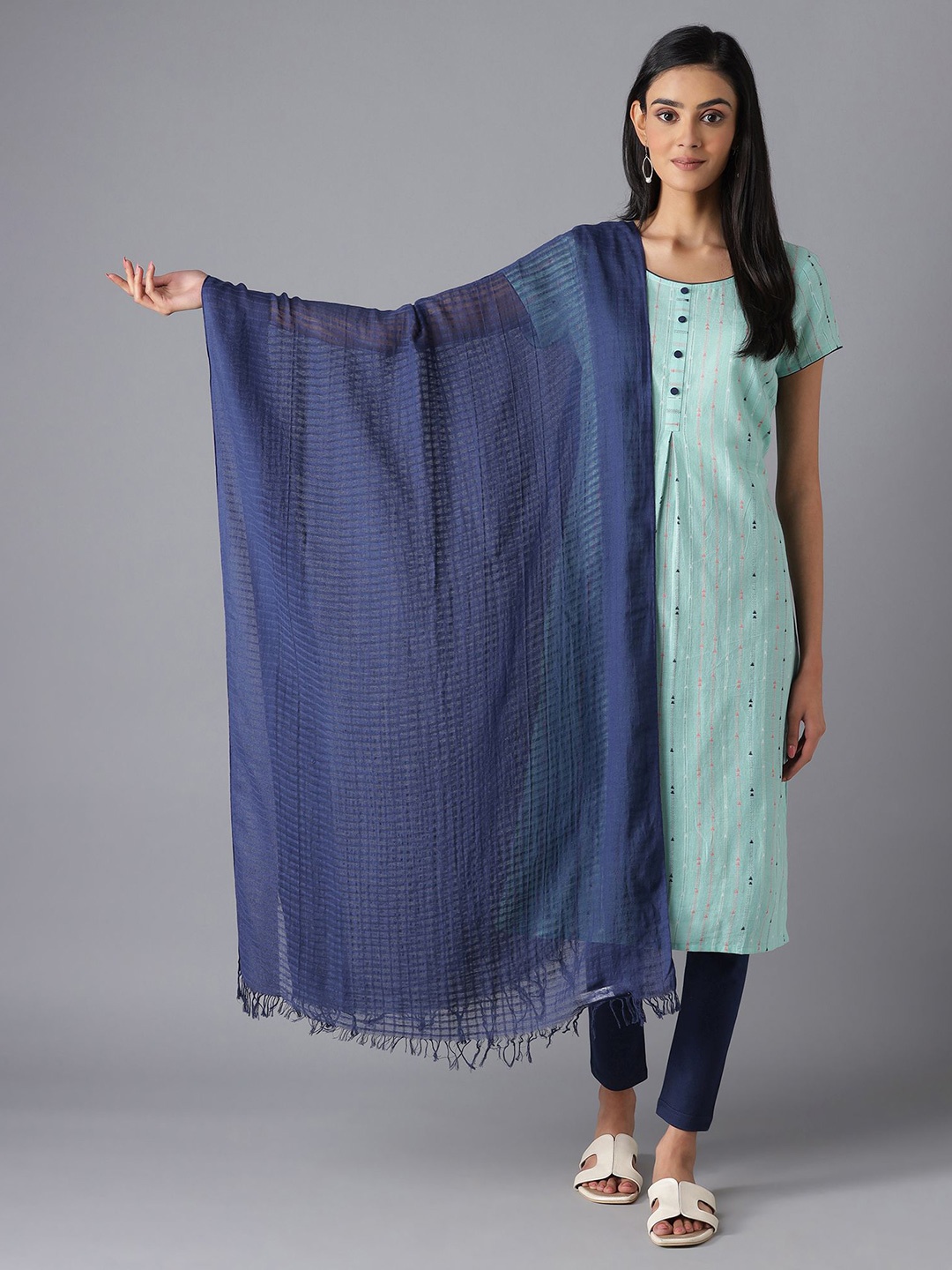

AURELIA Blue Pure Cotton Dupatta