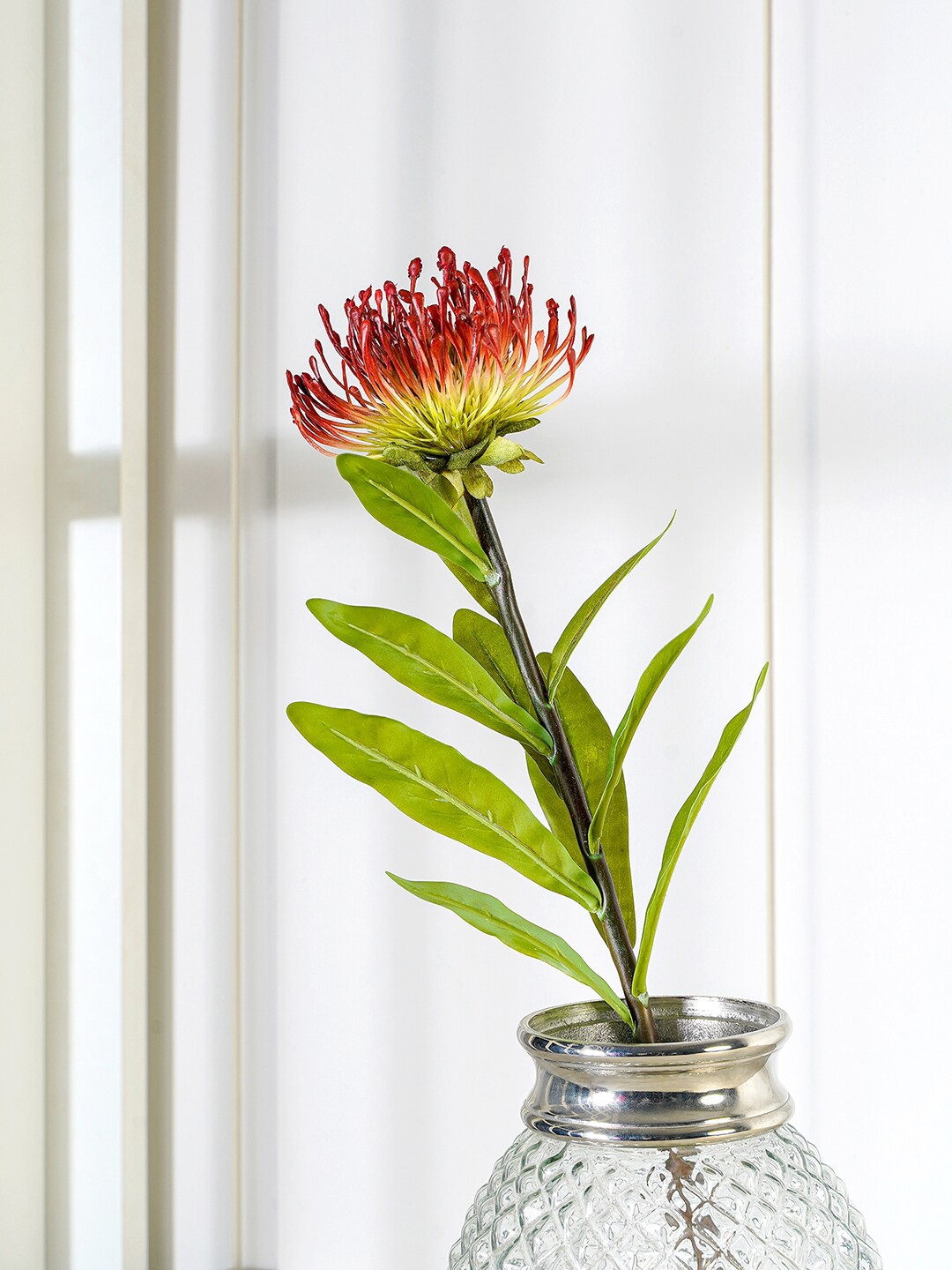 

Pure Home and Living Red & Green Protea Spray