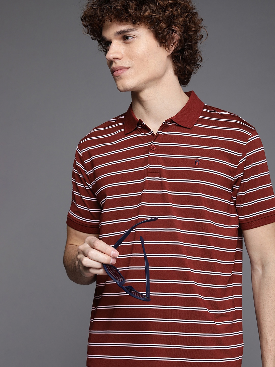 

Louis Philippe Sport Men Maroon & White Striped Polo Collar Slim Fit T-shirt