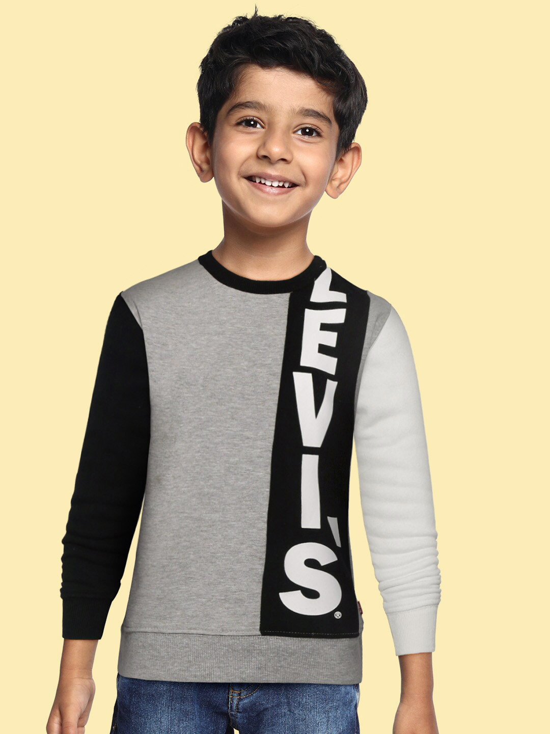 

Levis Boys Grey Melange Colourblocked Sweatshirt