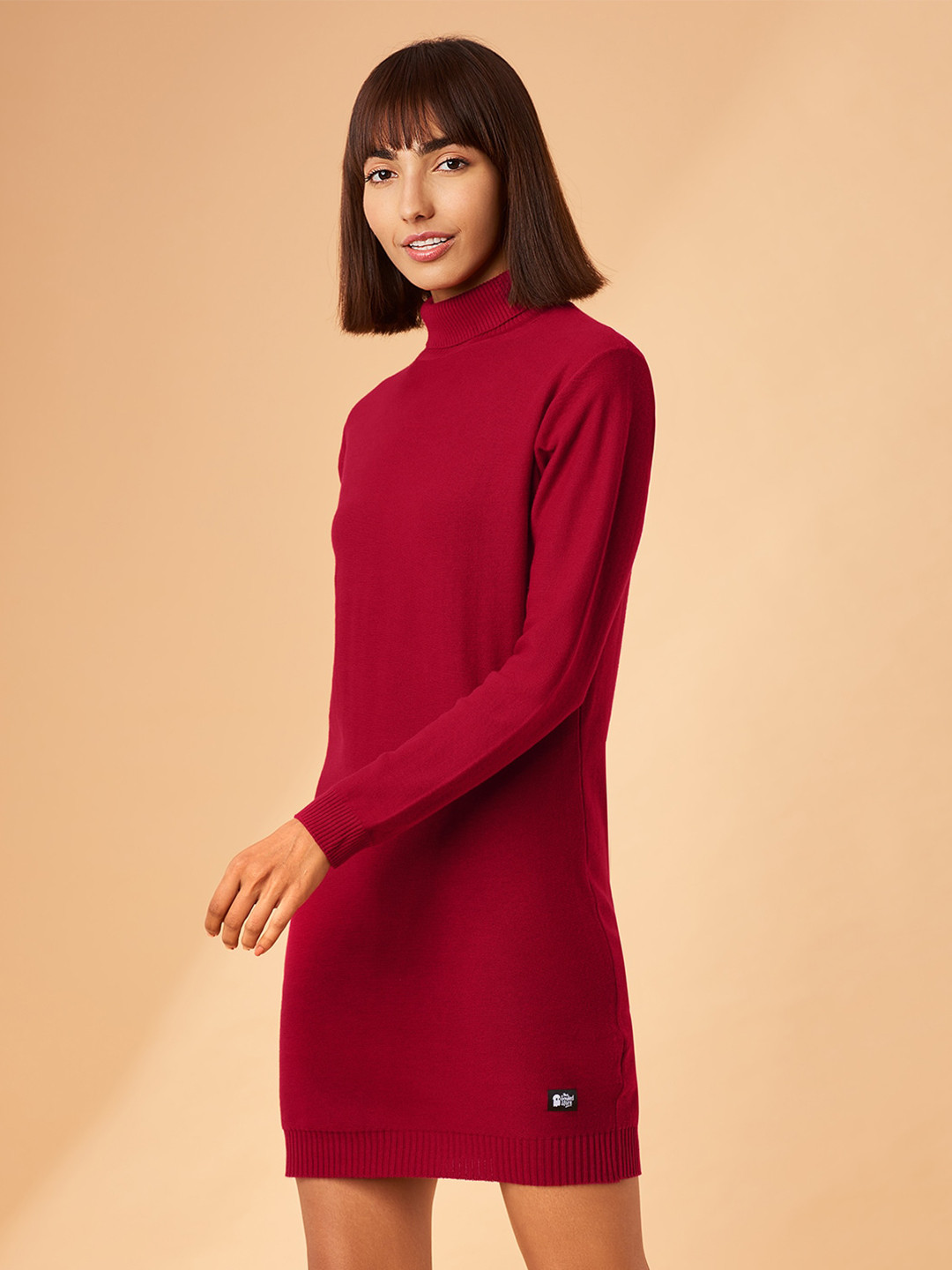 

The Souled Store Maroon Turtle Neck Sweater Dress