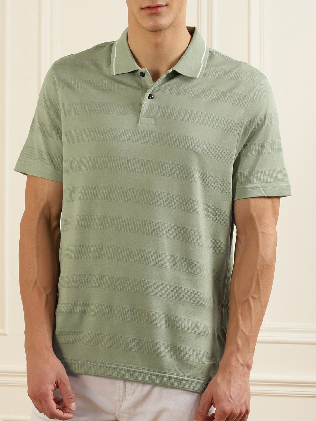 

Ted Baker Men Green Striped Polo Collar T-shirt