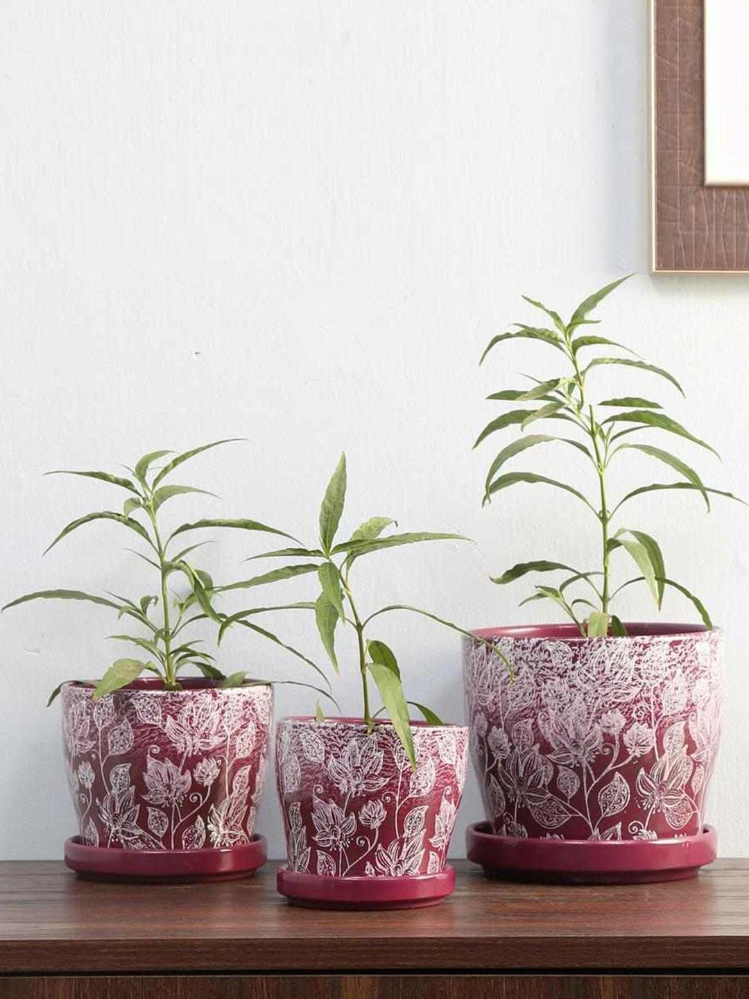 

Athome by Nilkamal Set Of 3 Purple & White Floral Leaf Printed Planters