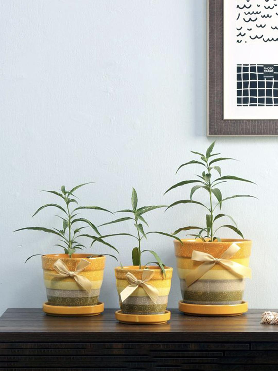 

Athome by Nilkamal Set OF 3 Mustard Yellow & Grey Printed Terracotta Planters