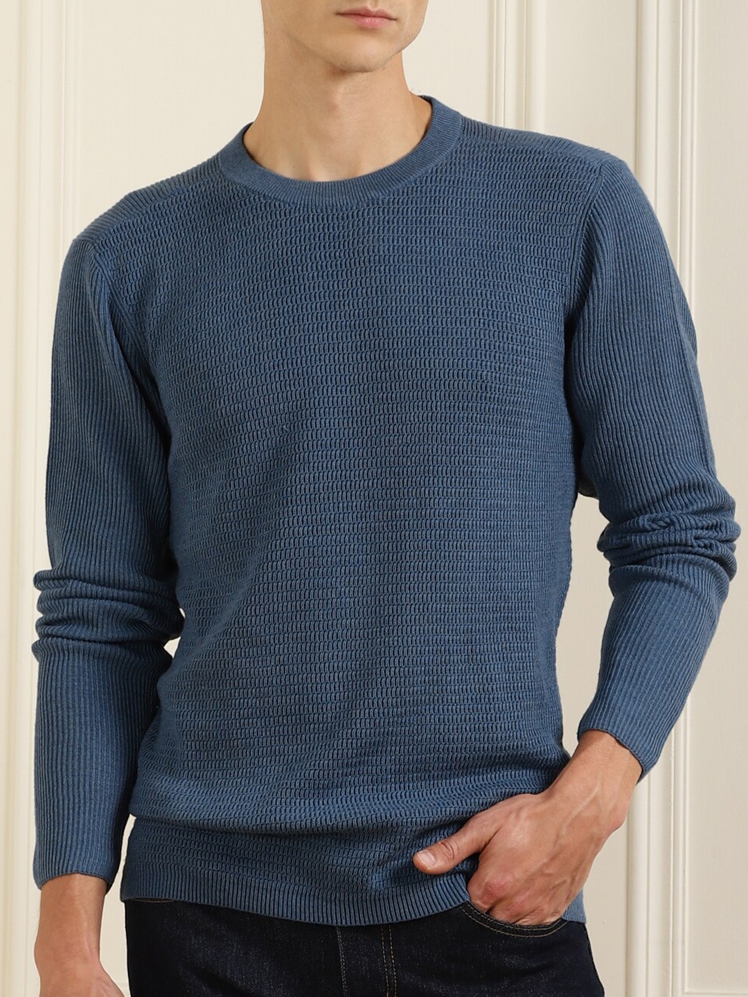 

Ted Baker Men Blue Textured Solid Cotton Pullover
