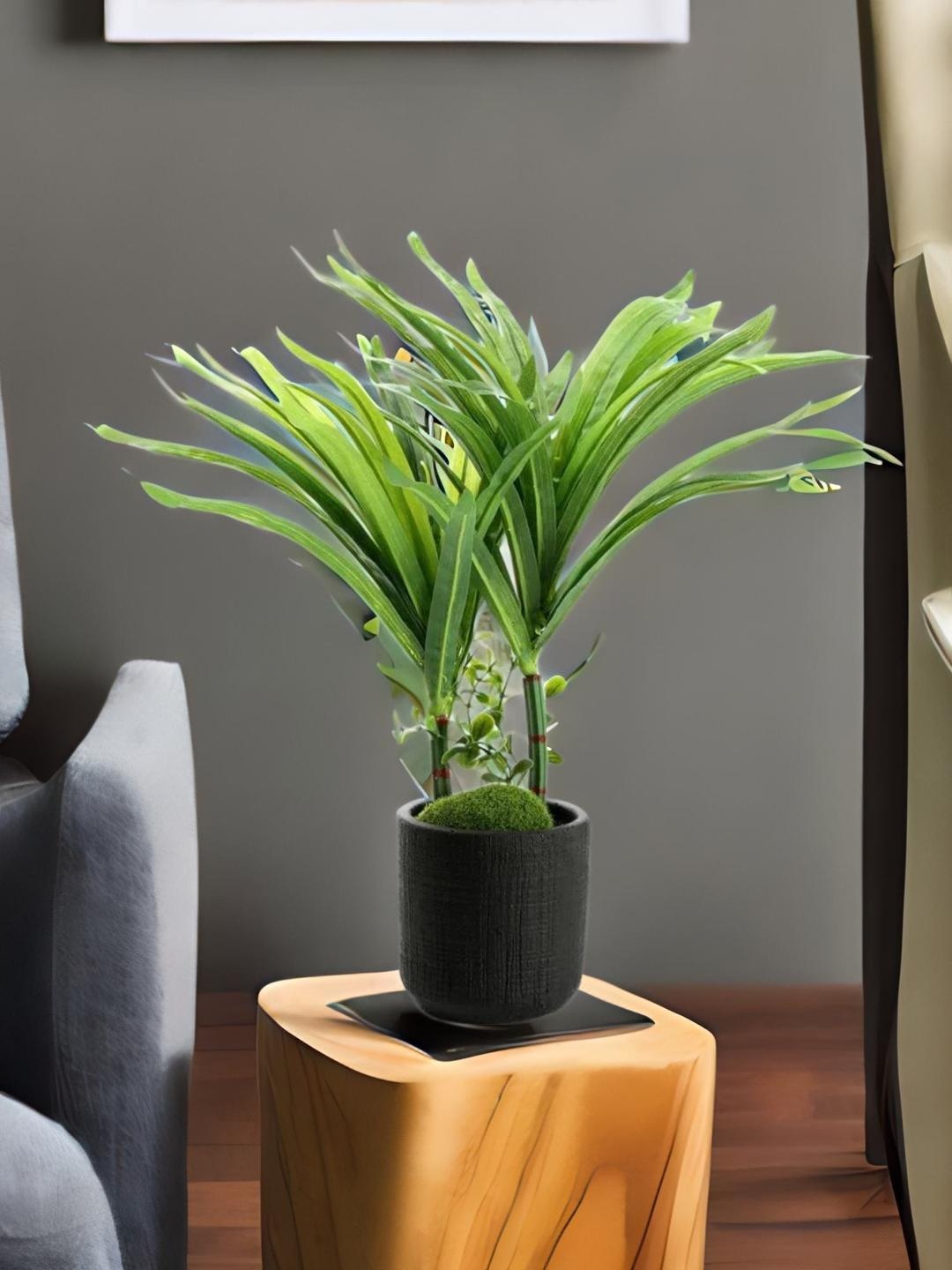 

Athome by Nilkamal Green Tumbler Potted Plant