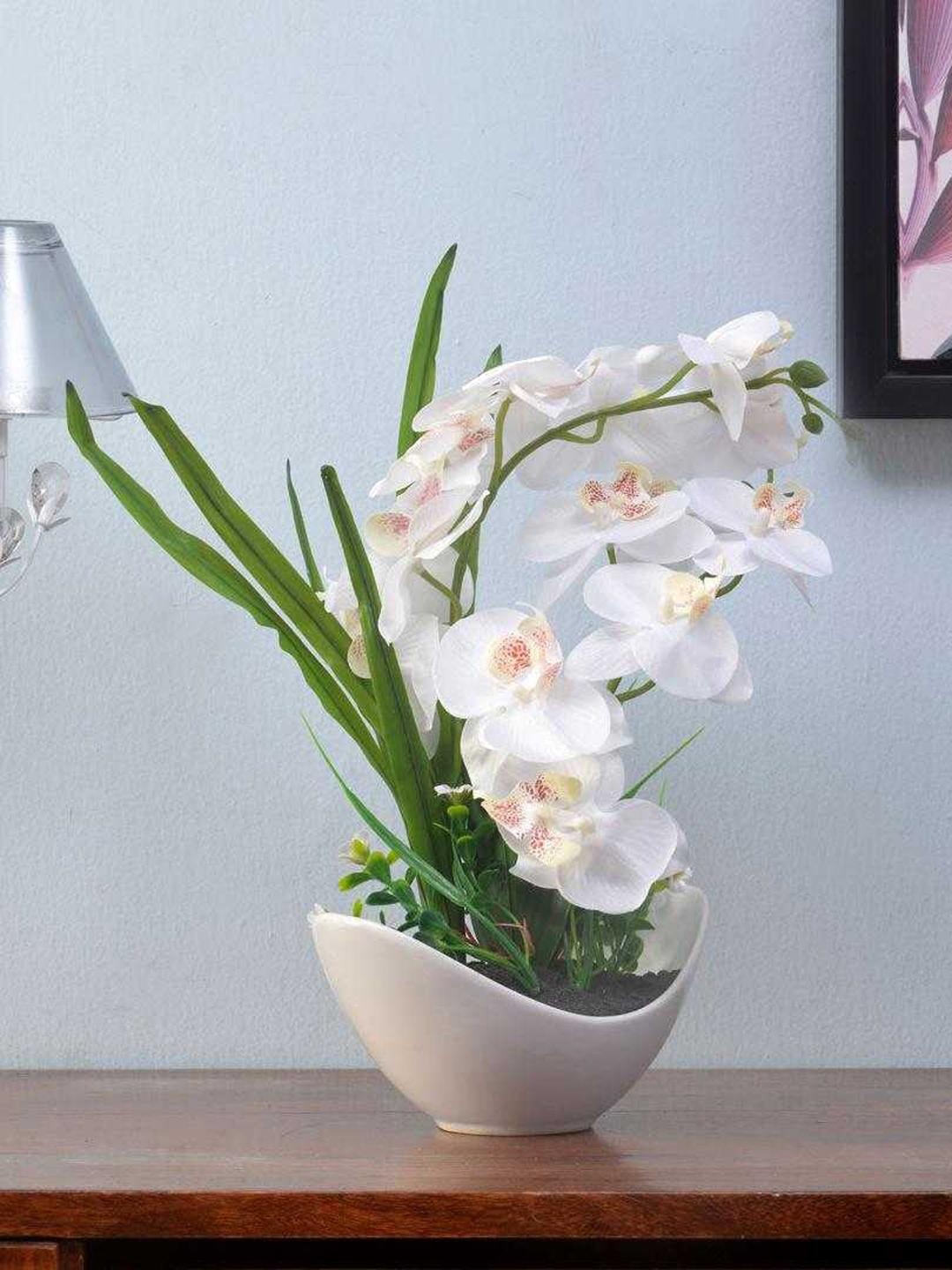 

Athome by Nilkamal White & Green Artificial Orchid Flower with White Pot