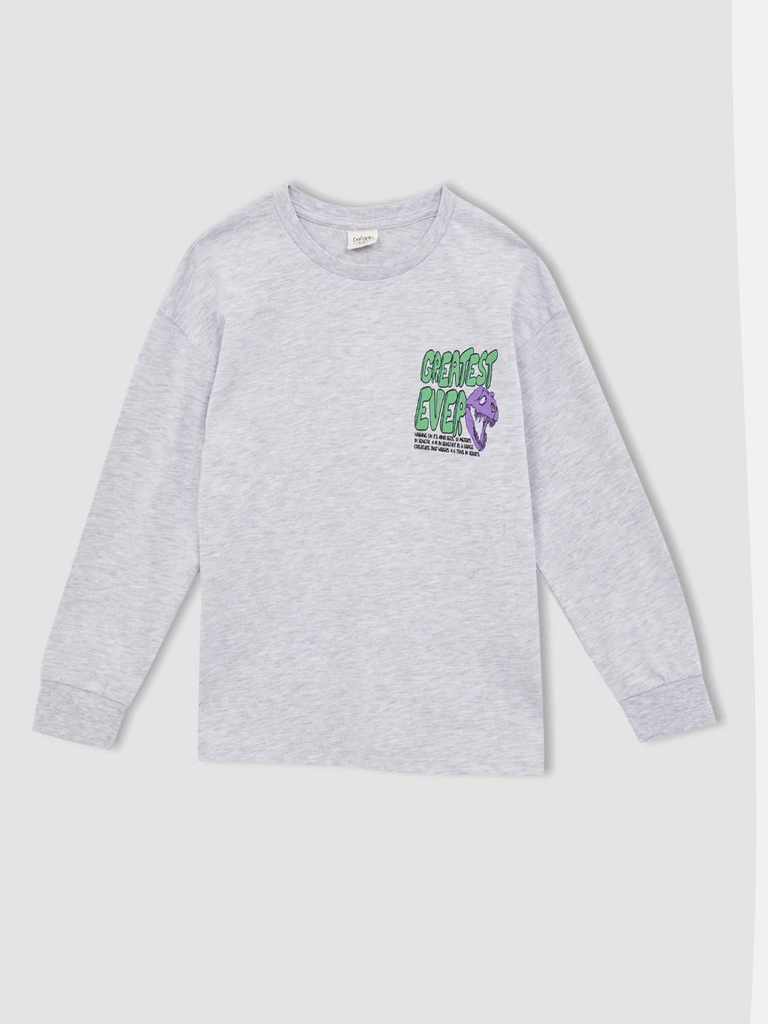 

DeFacto Boys Grey Melange & Green Typography Print Drop-Shoulder Sleeves T-shirt