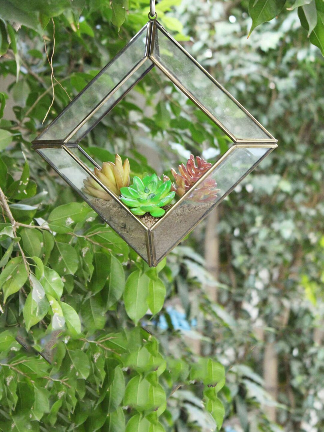 

Wonderland Transparent Hanging Terranium