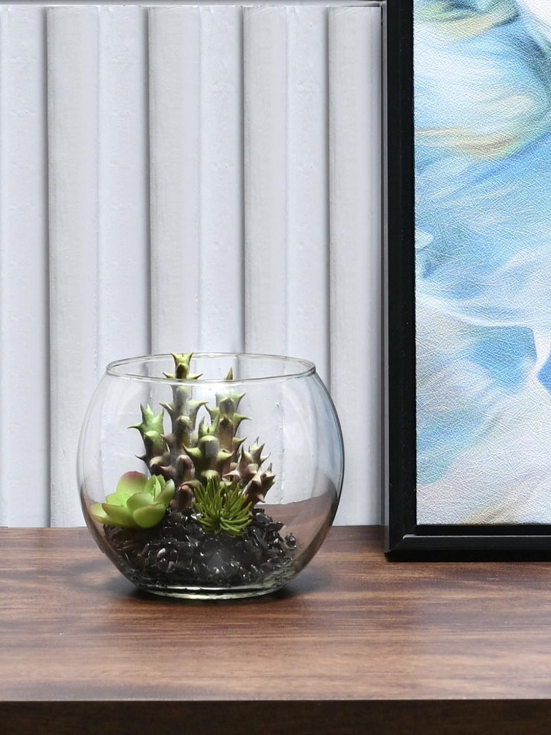

Athome by Nilkamal Transparent Solid Round Shape Planter