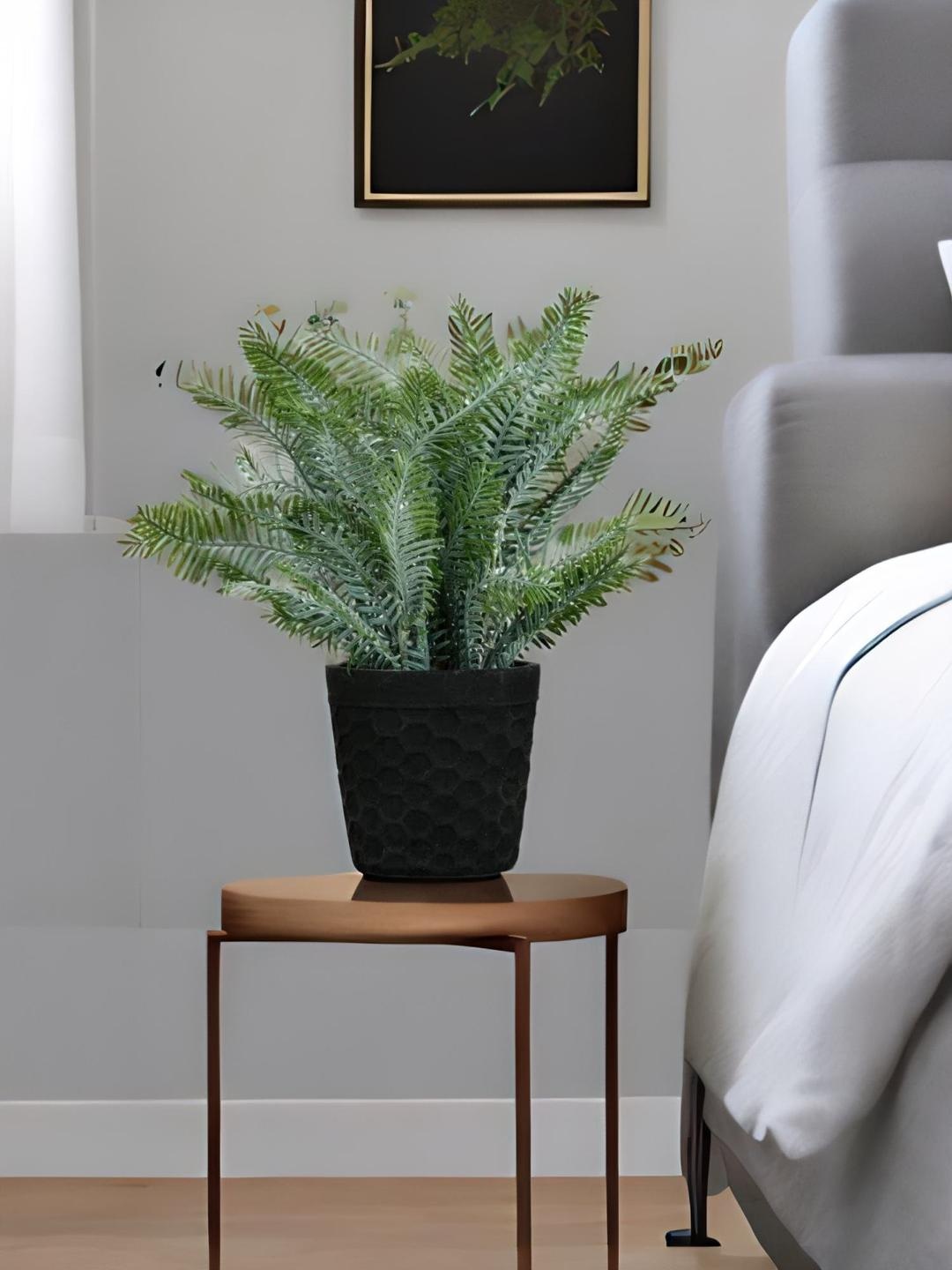 

Athome by Nilkamal Green & Black Potted Plant