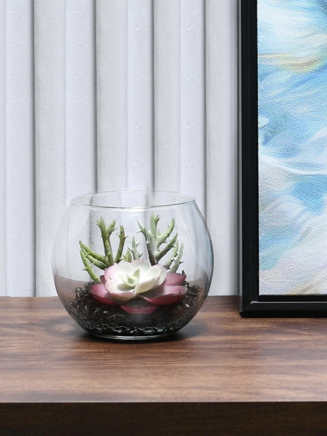 

Athome by Nilkamal Multicolour Glass Succulent Potted Plant, Multi