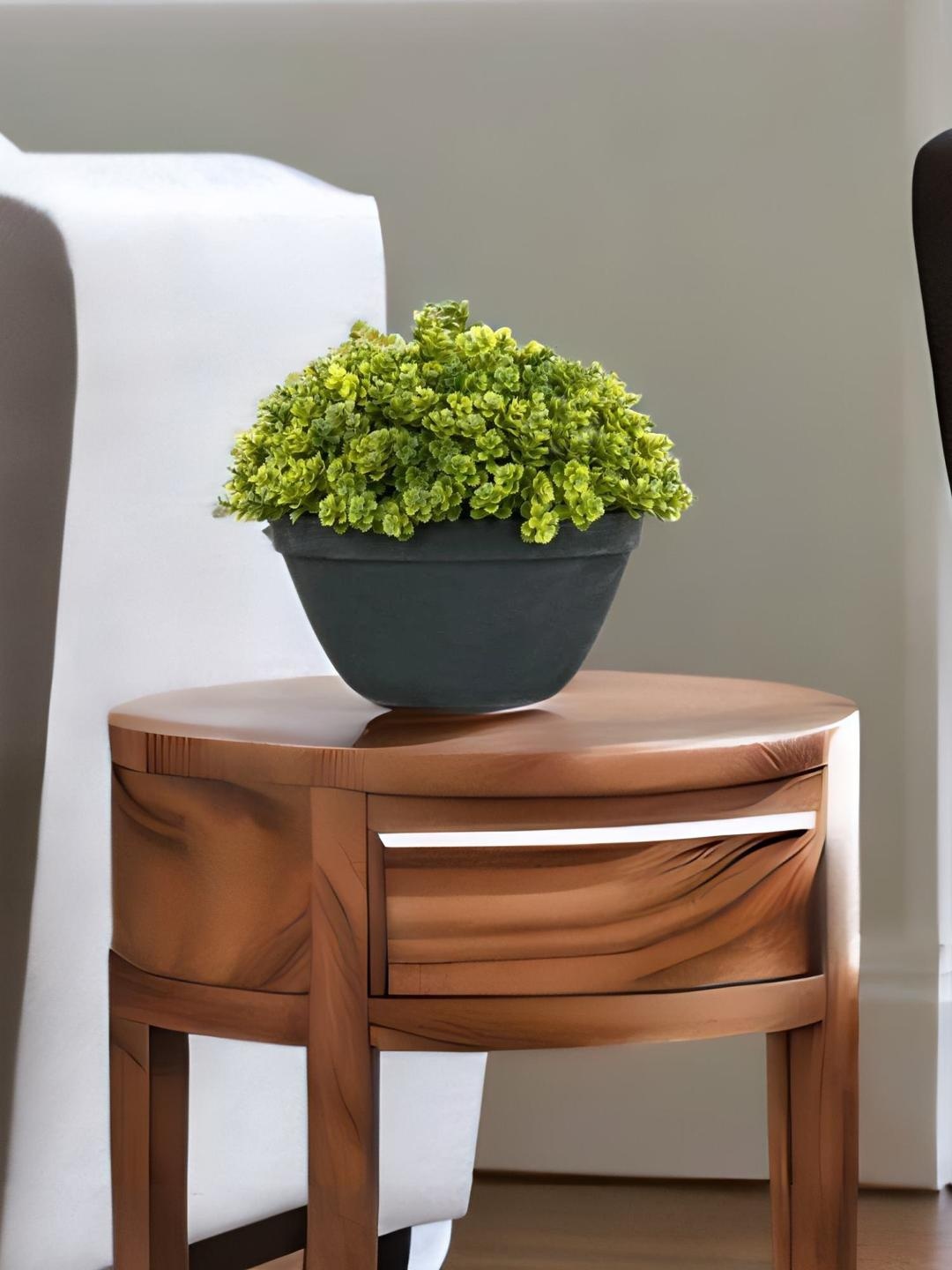 

Athome by Nilkamal Green Boxwood Round Potted Plant