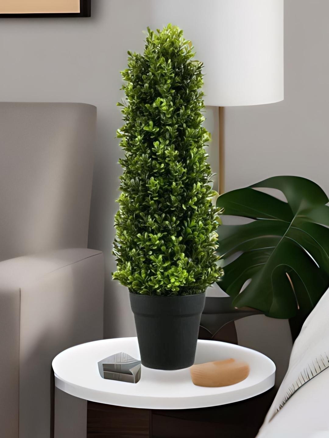 

Athome by Nilkamal Boxwood Hilly Green Potted Plant