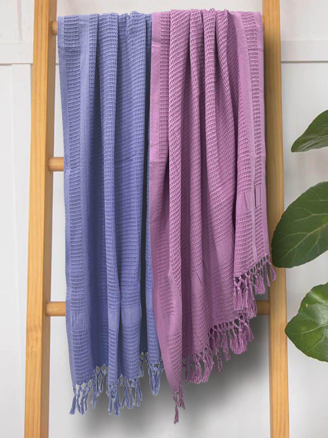 

BIANCA Lavender & Blue Solid 300GSM Cotton Bath Towel