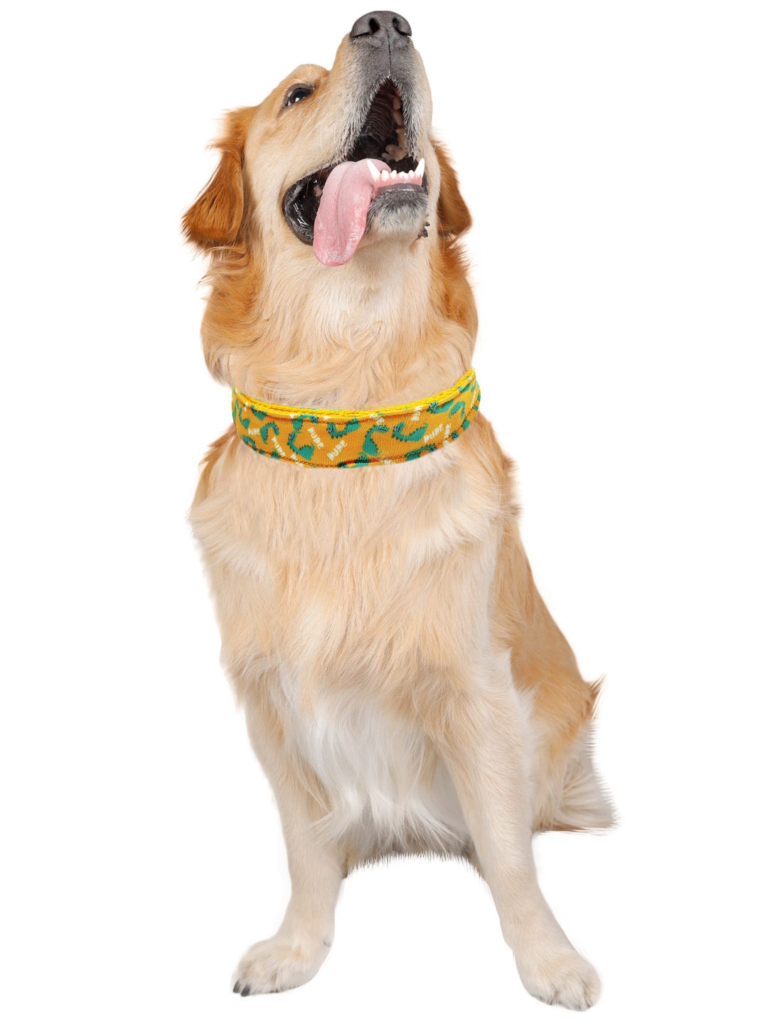 

D'chica Paws Yellow & Green Collar For Dog & Cats Dino Print