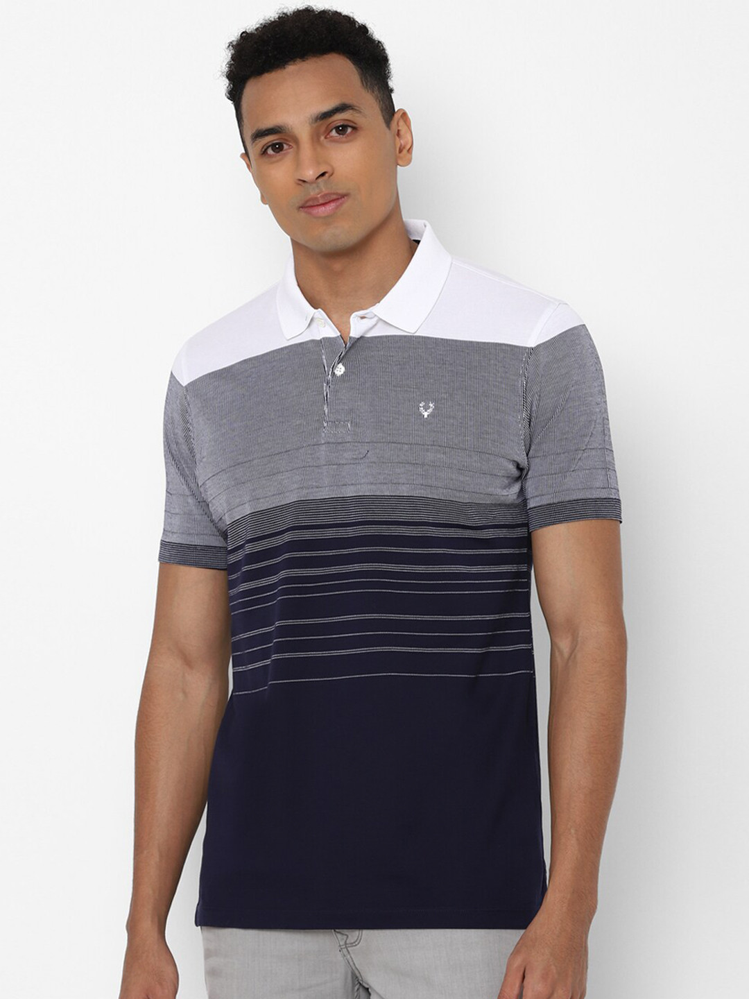 

Allen Solly Men Navy Blue & Grey Striped Polo Collar Regular Fit Cotton T-shirt