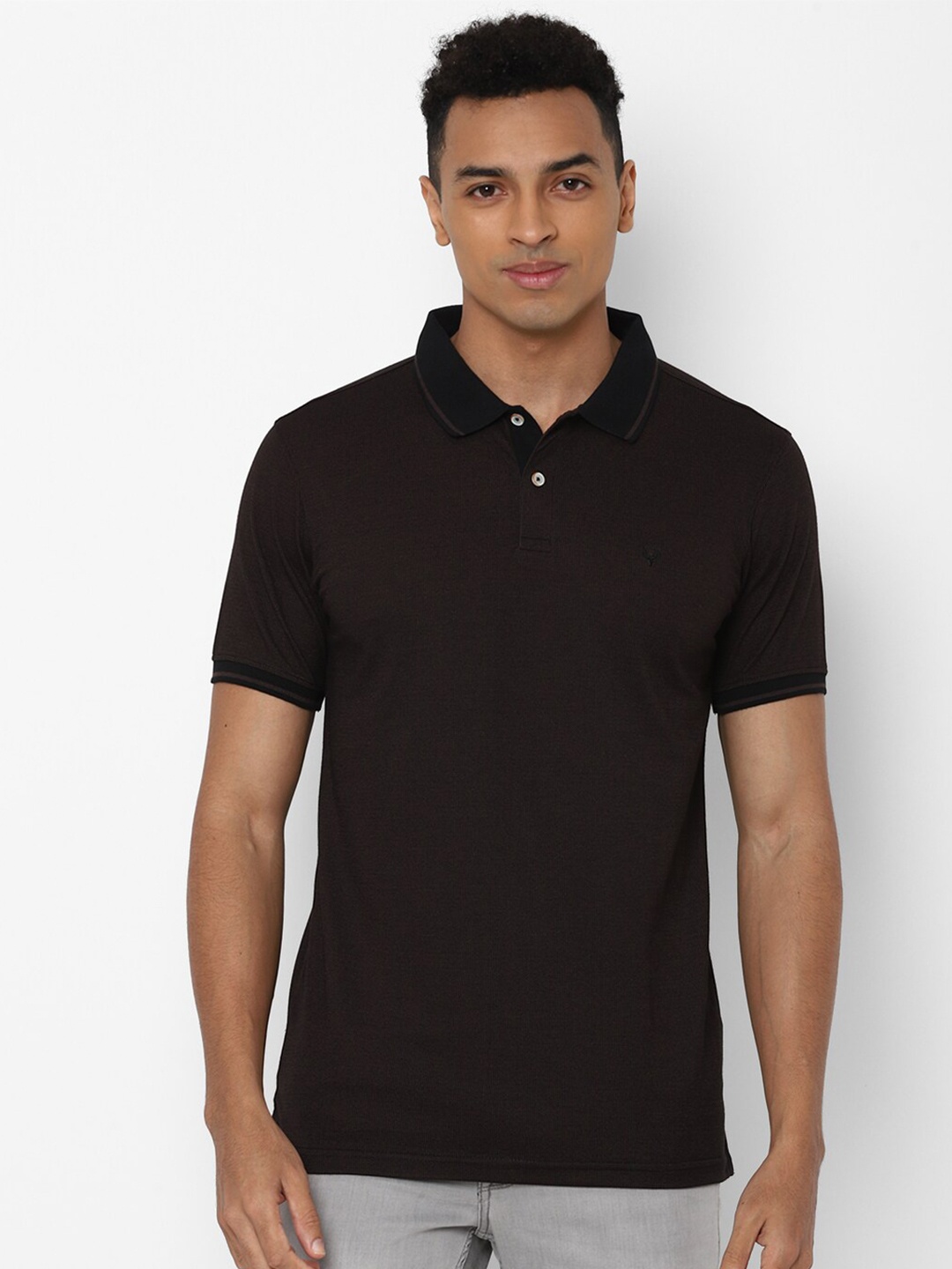 

Allen Solly Men Brown Polo Collar T-shirt