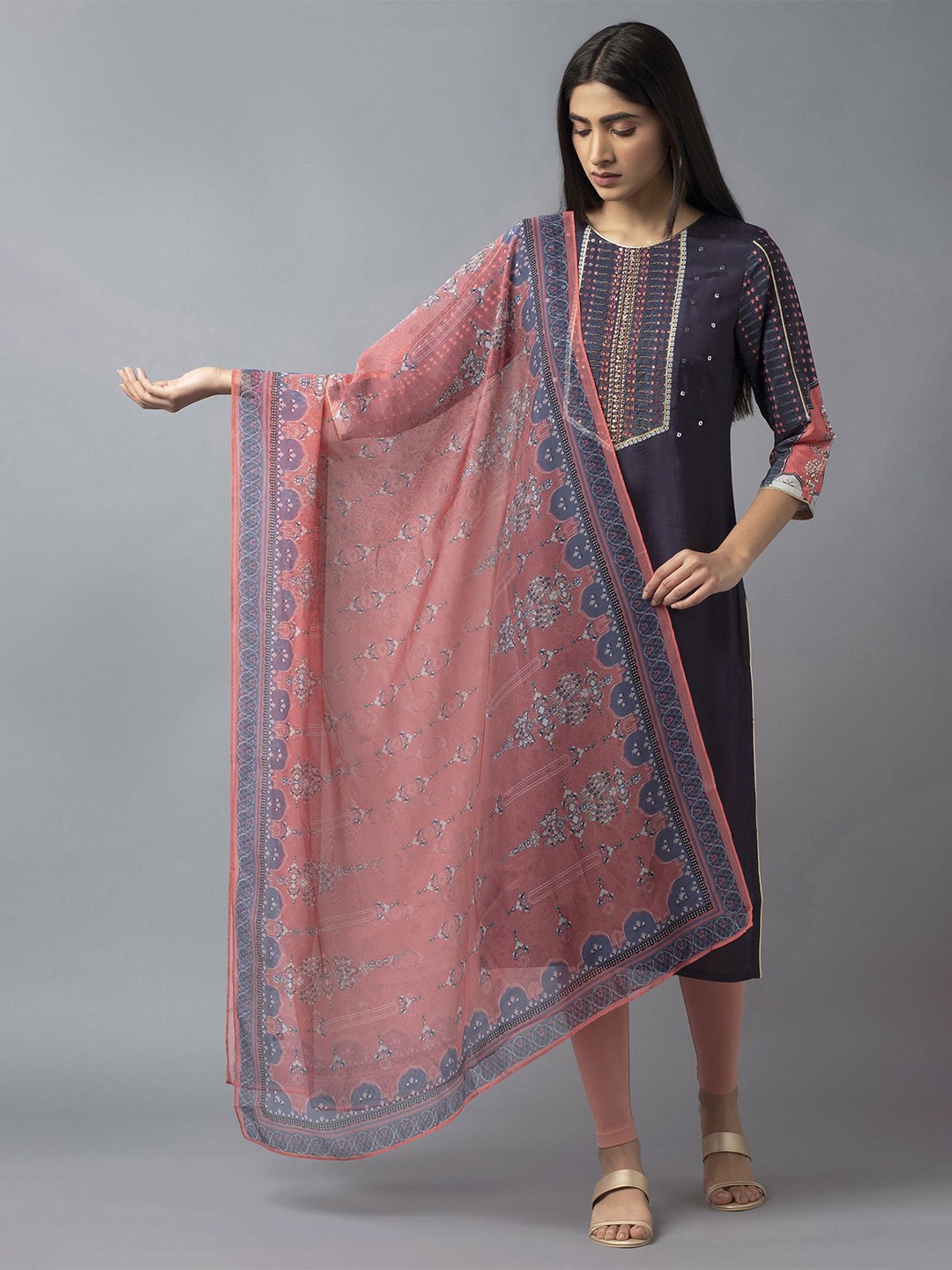 

WISHFUL Pink & Blue Printed Organza Dupatta