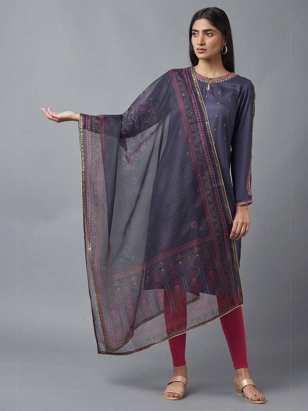 

WISHFUL Grey & Blue Printed Organza Dupatta